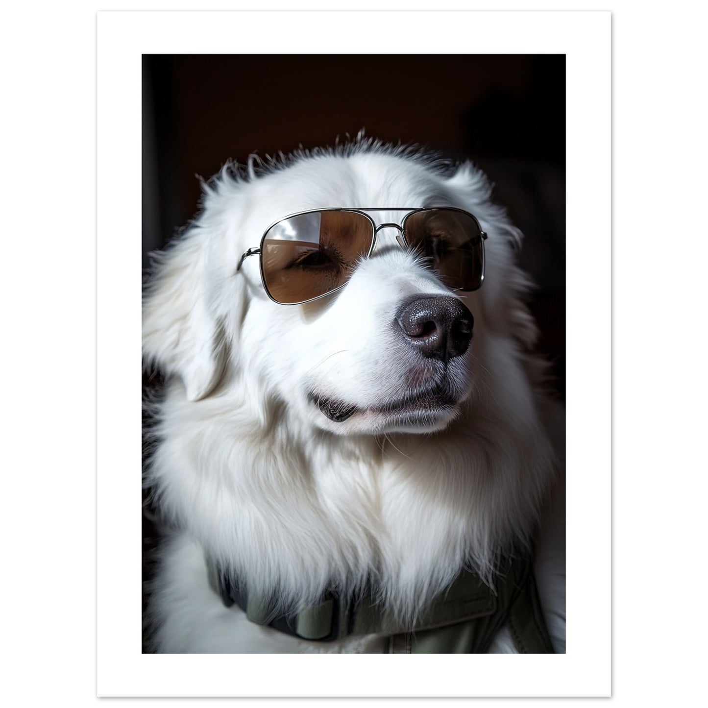 19ac1c5c-4450-4f05-ab2f-f52857e1a15b