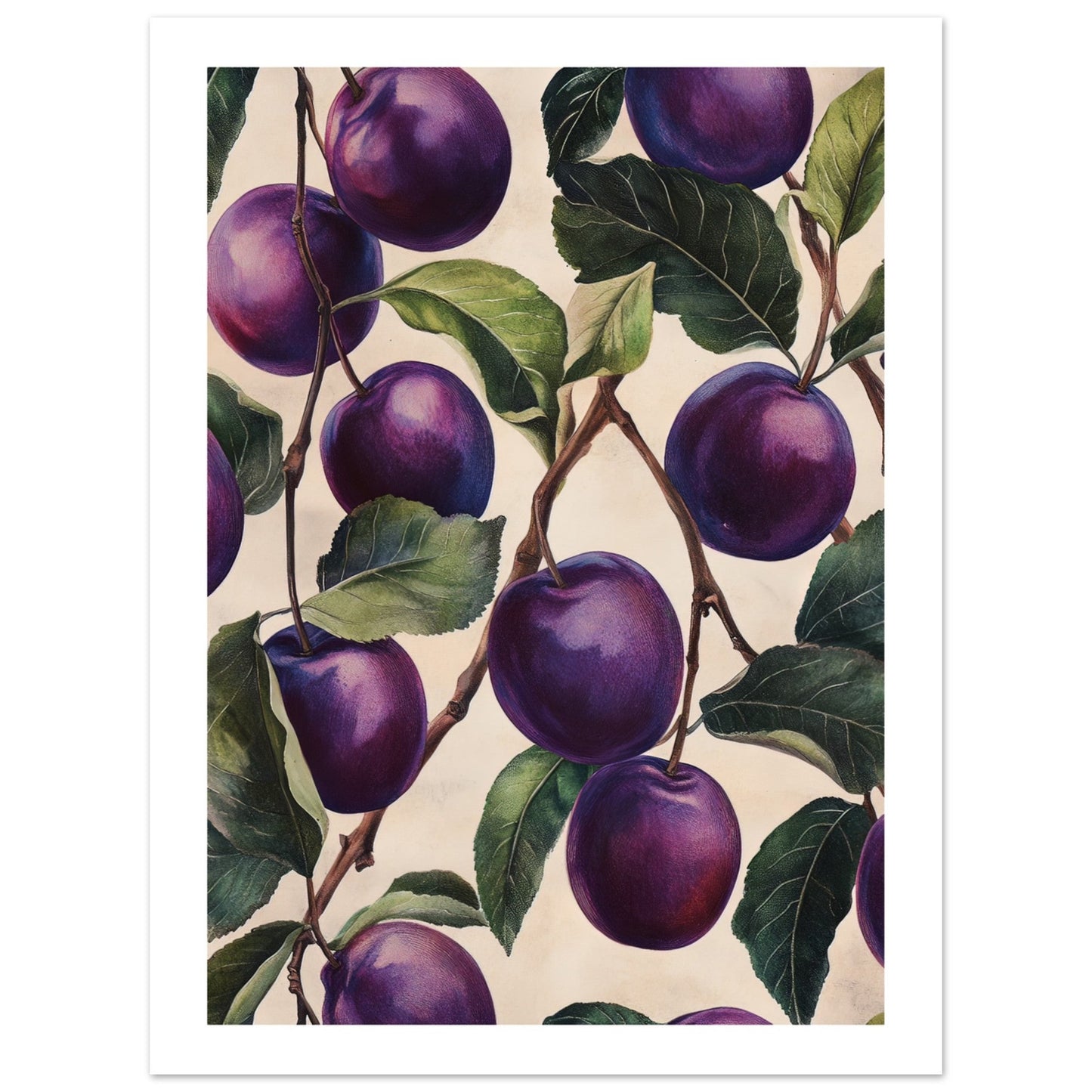 A pattern of Plums