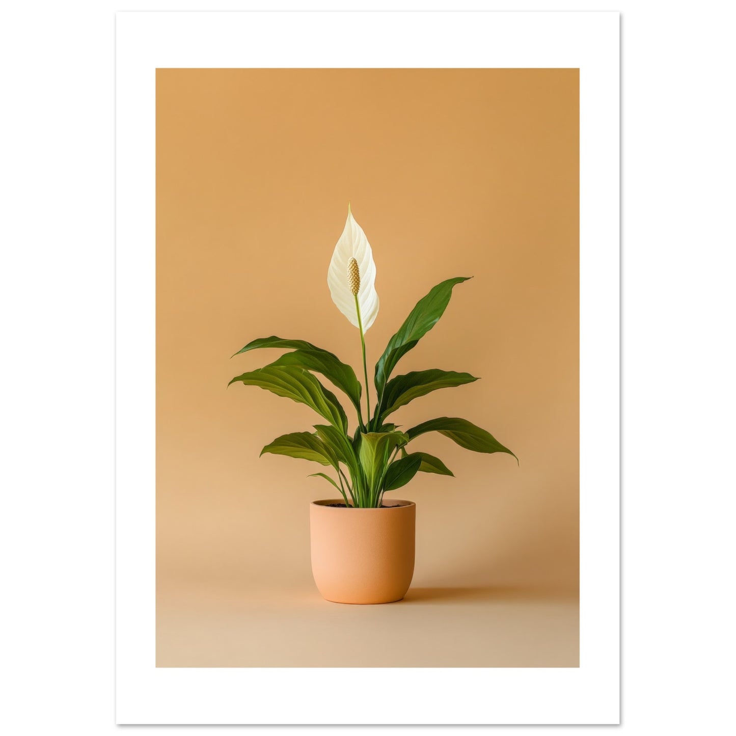 1c615ecc-5076-441b-9bd8-e741a0826485