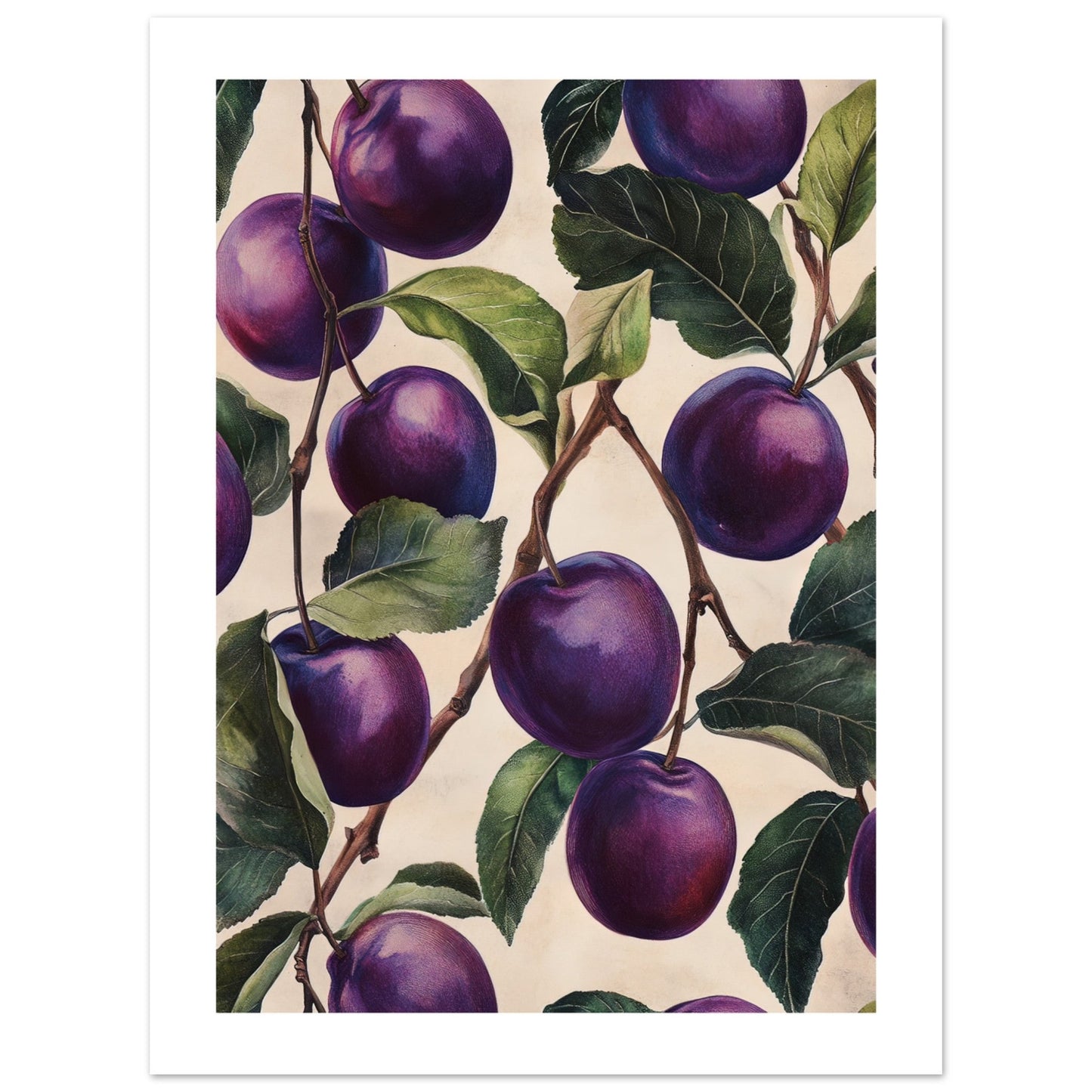 A pattern of Plums