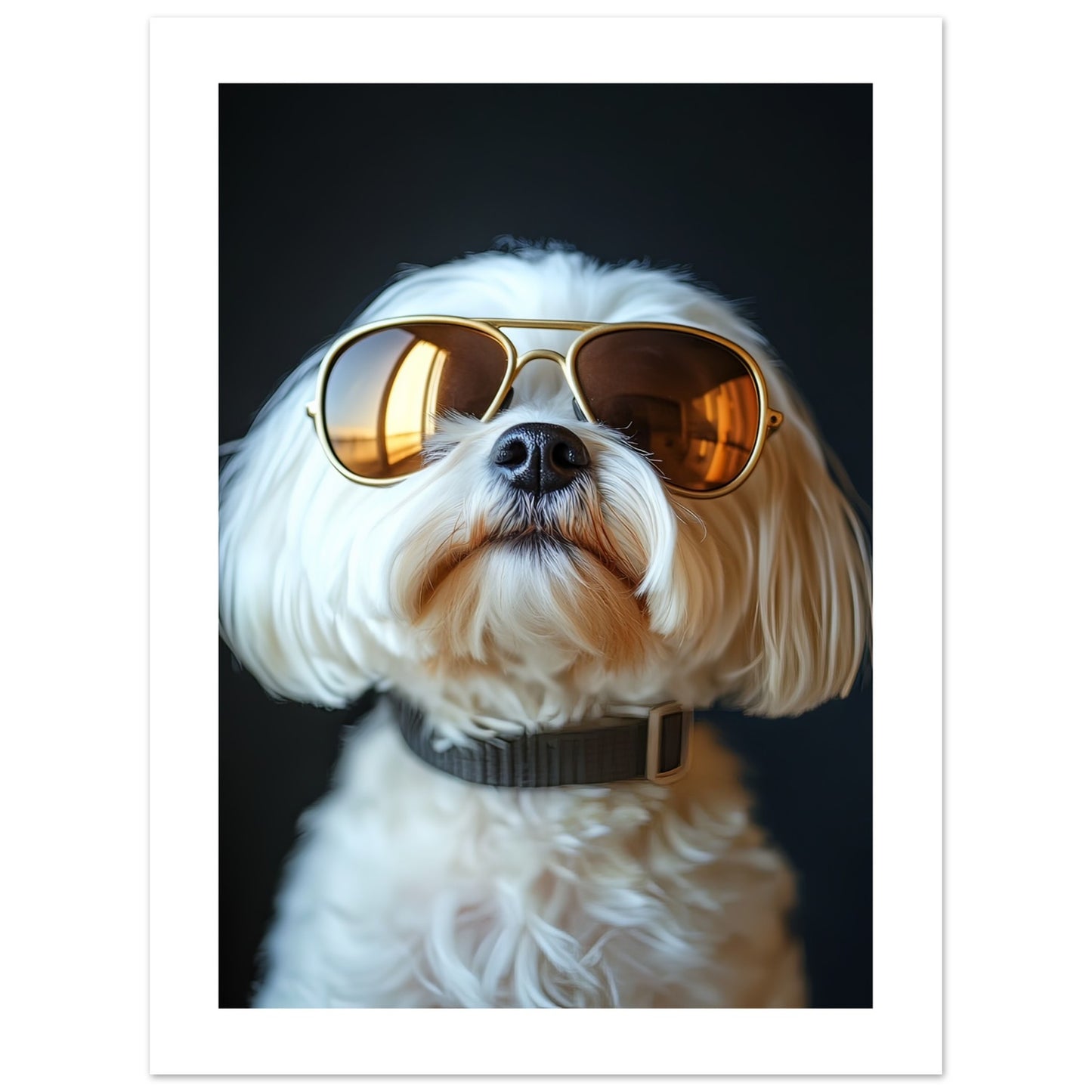 240baf3d-f341-4b92-9273-ac2ce89663a3