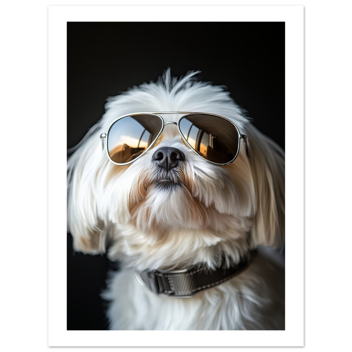 26b0a098-7402-4c25-912d-8a572ed6c0ce