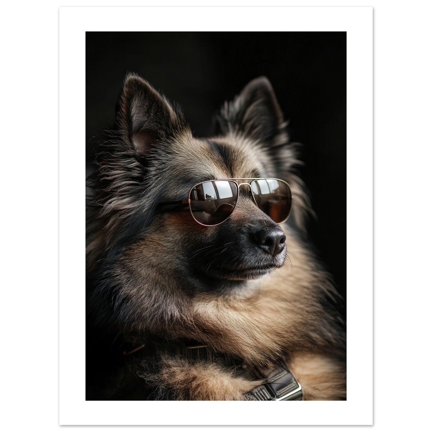 270c7544-8fd8-40ad-9e67-c947b6d59876