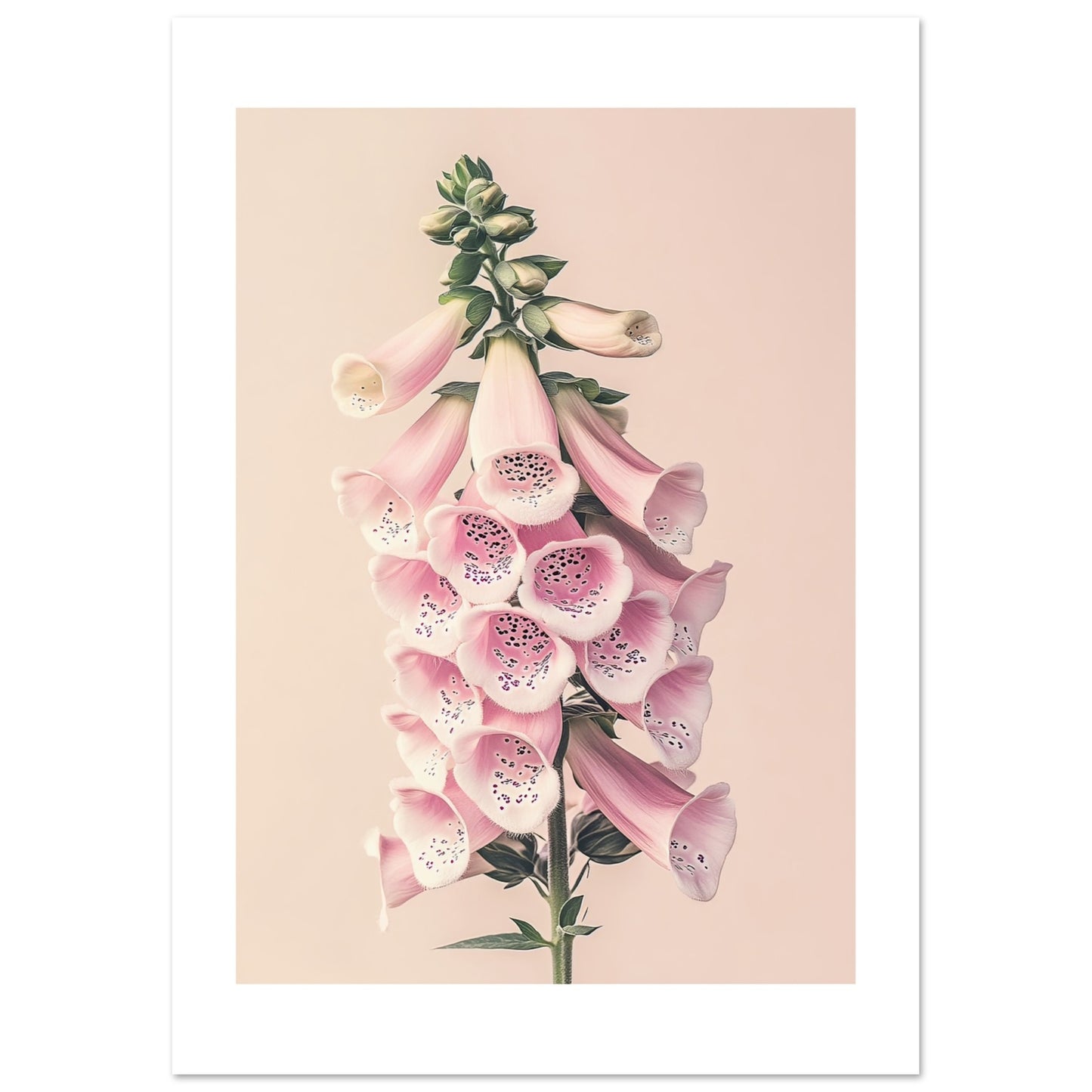 272622b8-77b6-409d-8092-0bbdafdf94c4