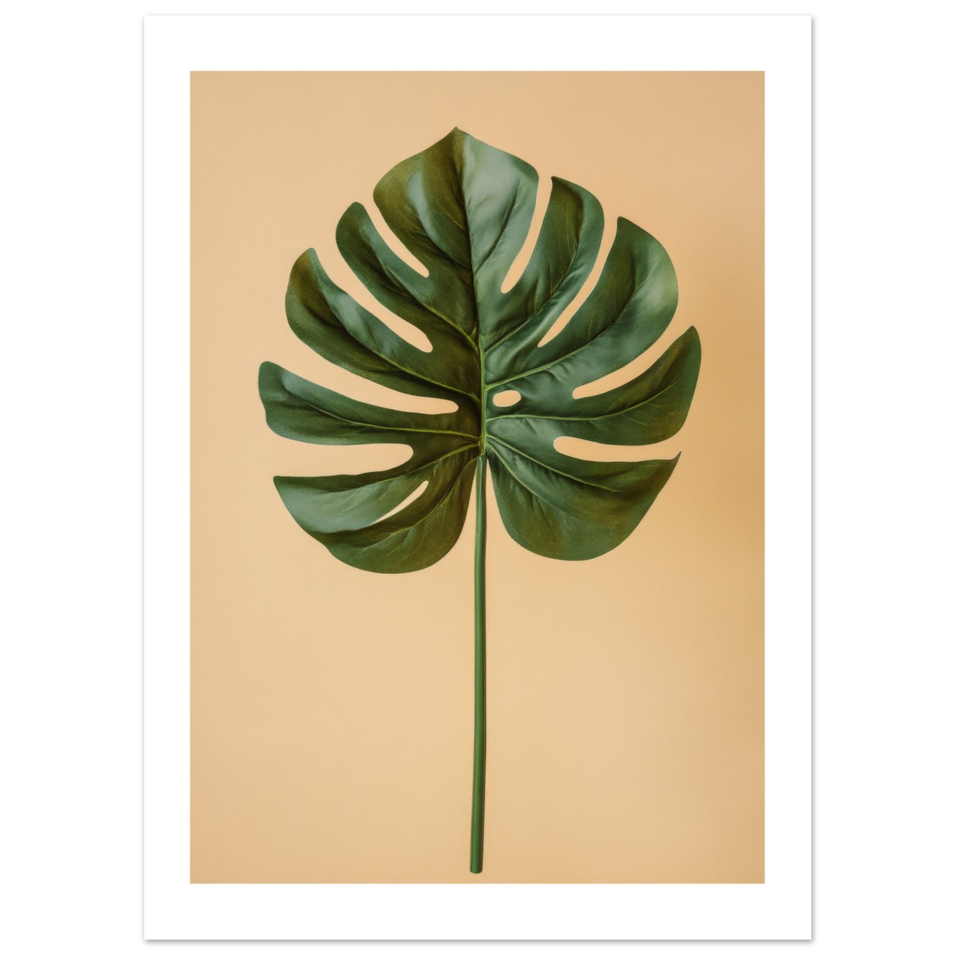 monstera deliciosa poster Stunning Monstera Deliciosa Poster for Your Home – Posters One Hundred