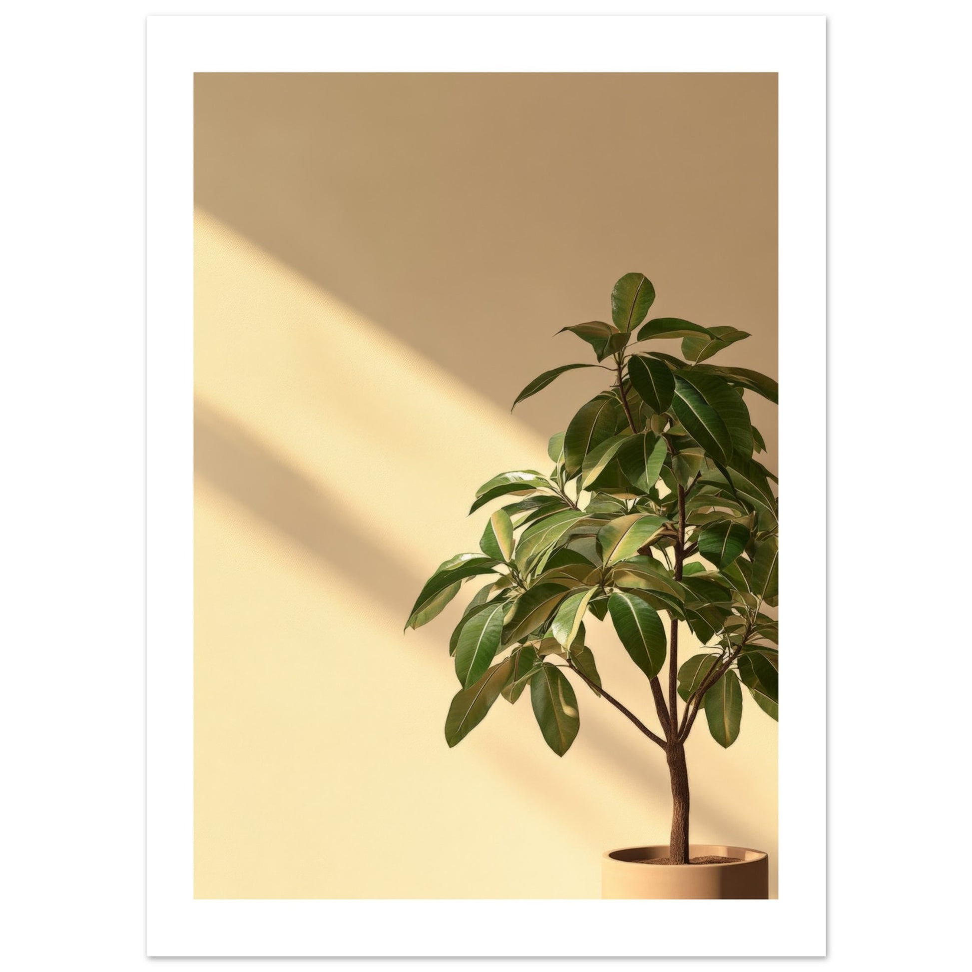 money tree poster Money Tree Poster