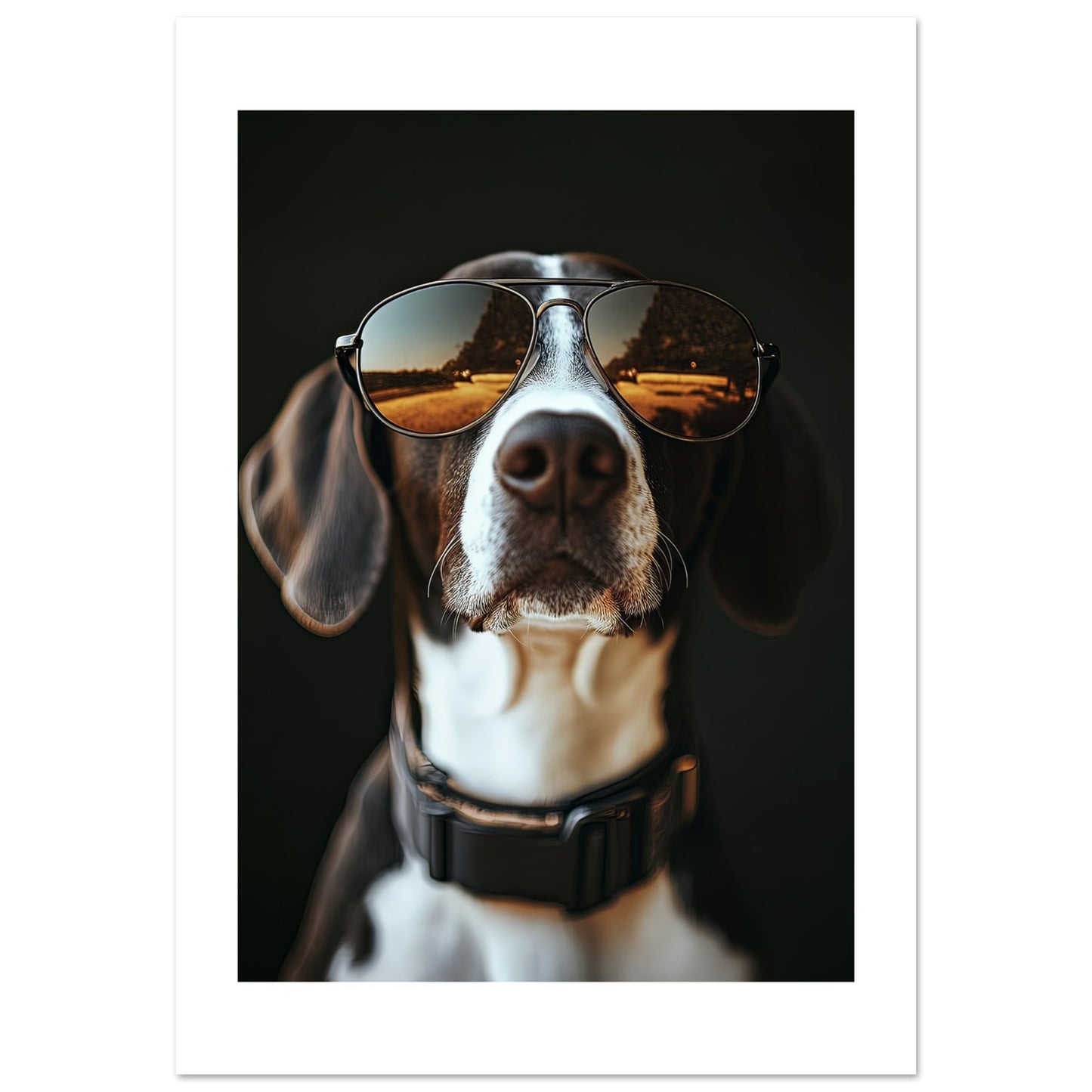 30230ca7-2903-49d3-af00-e39920b236dc