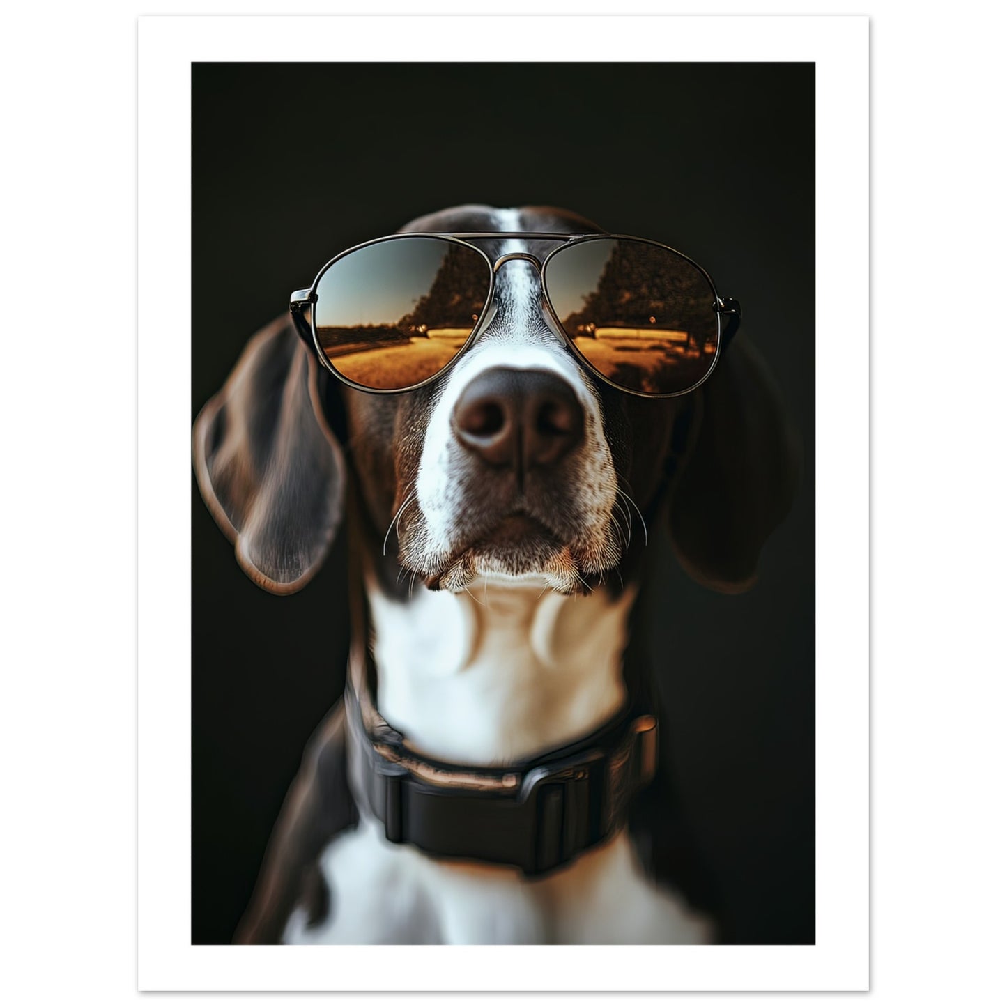 31c489b2-0bf7-4718-a237-0f5bfd9ab6ea