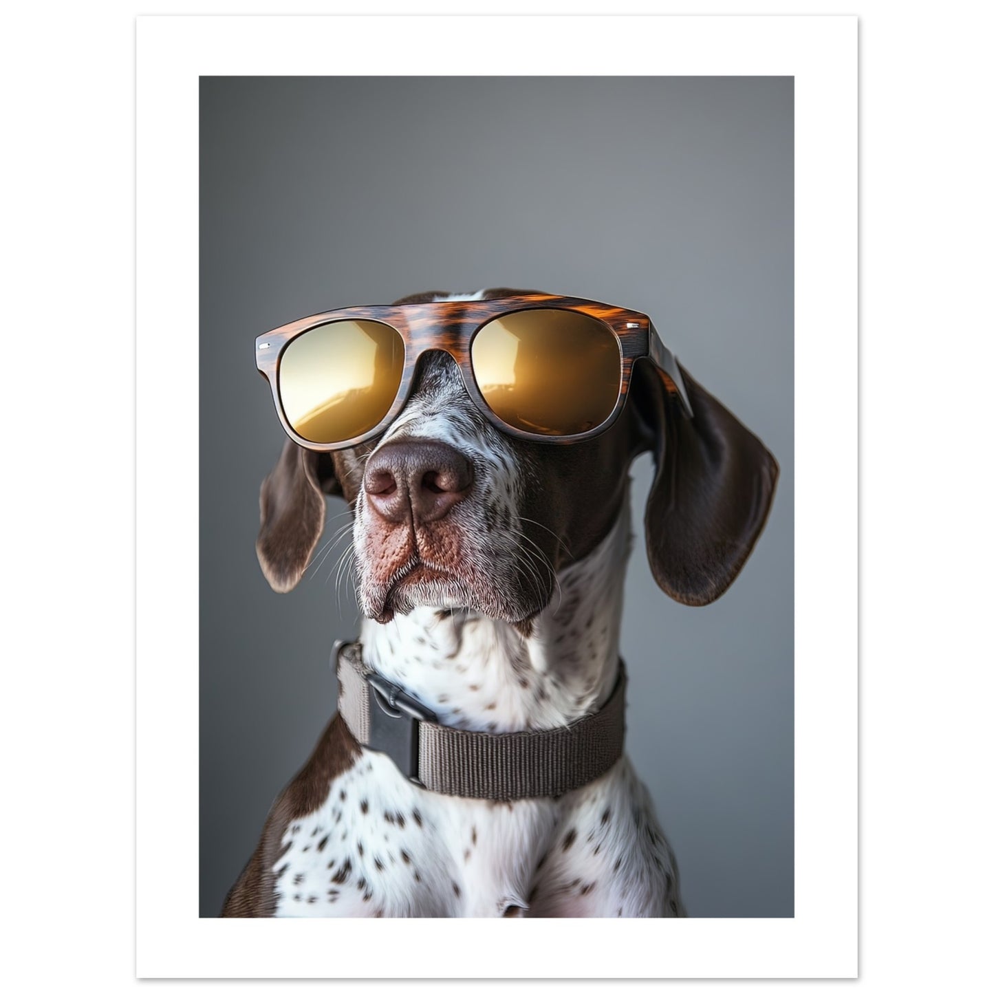 33d110ae-7b6f-46d6-b025-029d275f0a65