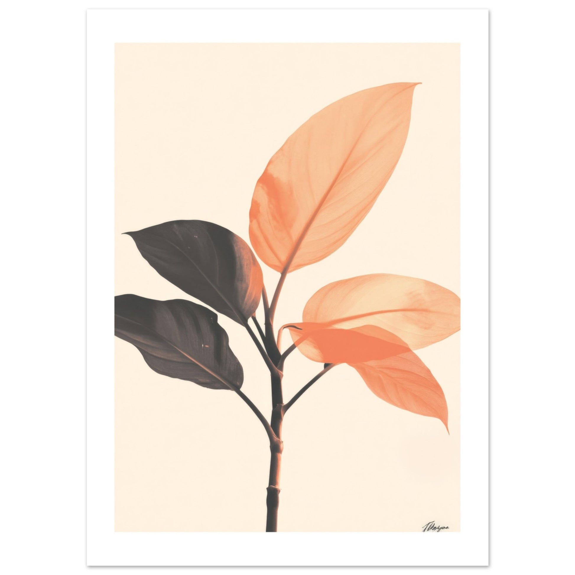 philodendron poster Beautiful Philodendron Poster for Your Home Decor – Posters One Hundred