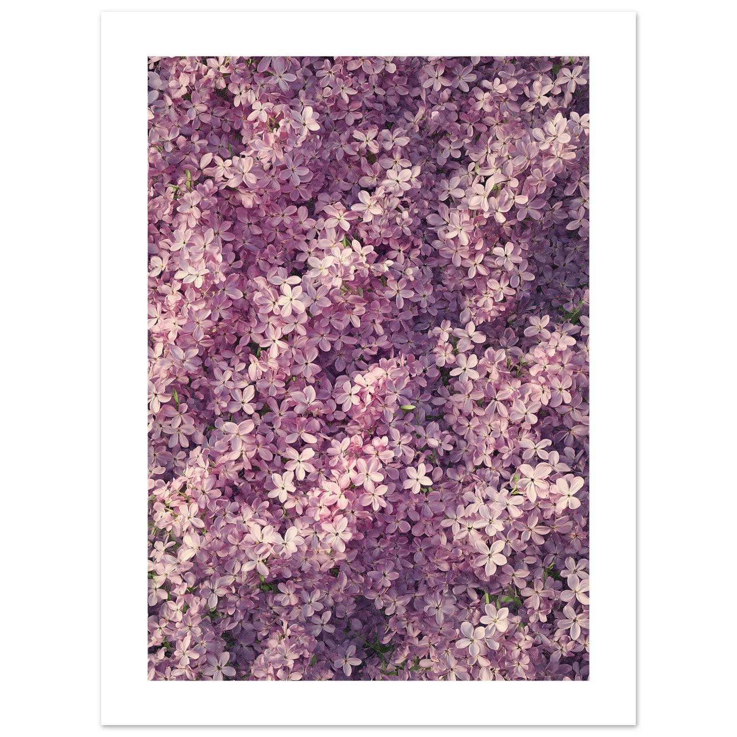 37706793-5f2d-4a0e-be02-c43601ef55fe