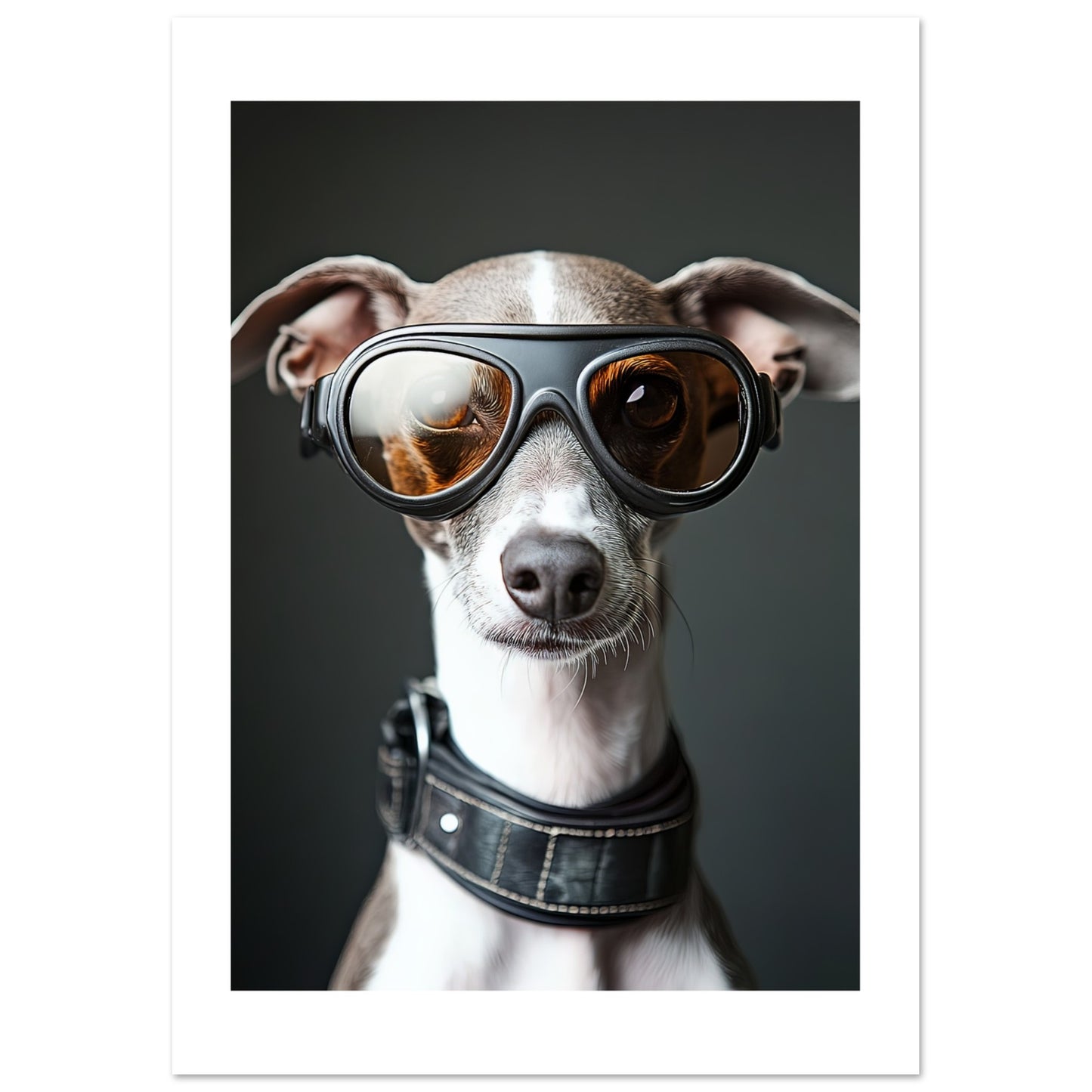 3ae966b6-f0e2-42f7-b900-429d933b2aa9