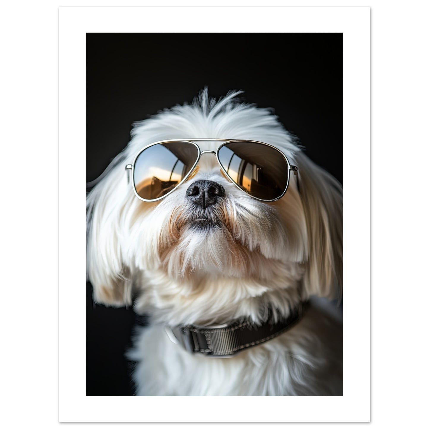 3ece3ab4-c0c8-4188-b821-ec0e164ff5c7