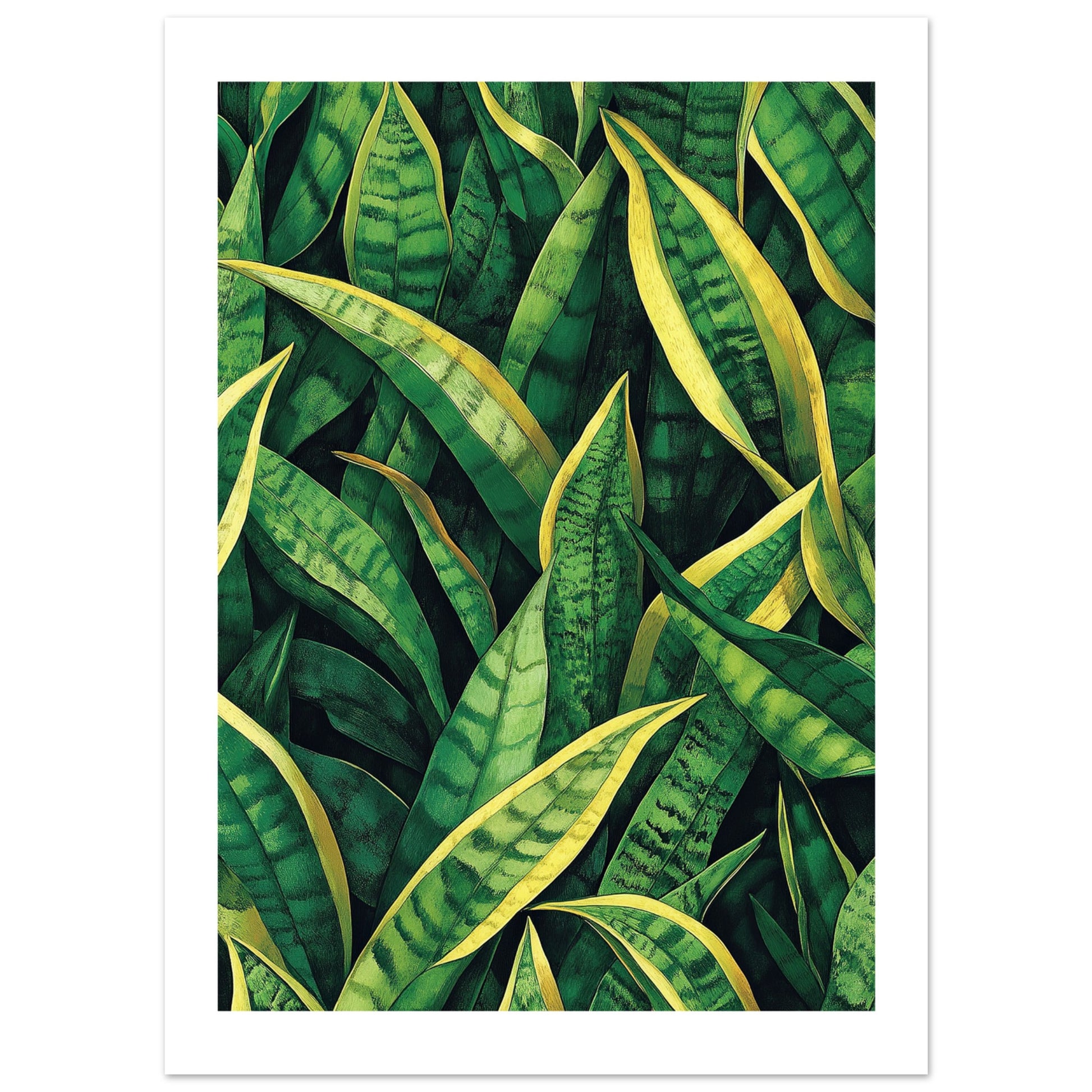 snake plant art Stunning Jugendstil Snake Plant Art Print for Your Home – Posters One Hundred