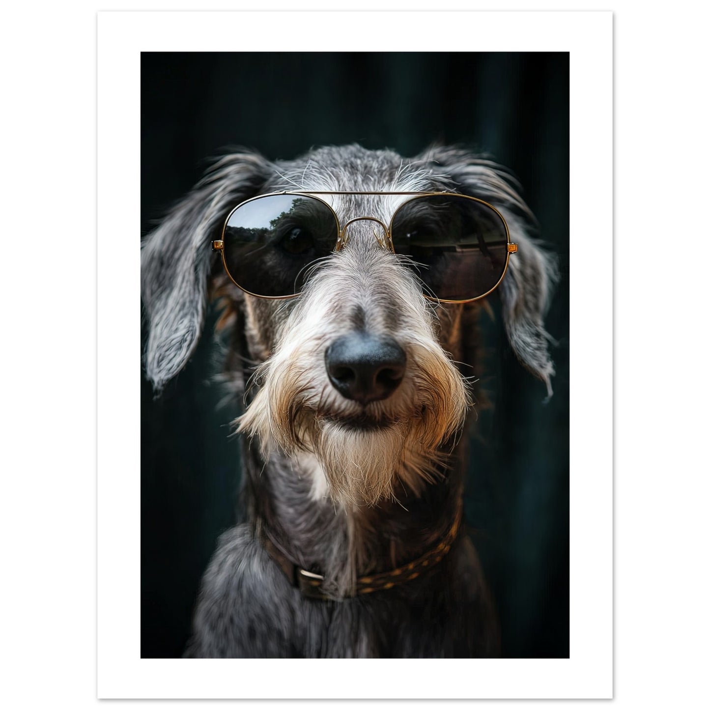 43254b87-6b6c-4536-9d06-f3b5958ed9fe