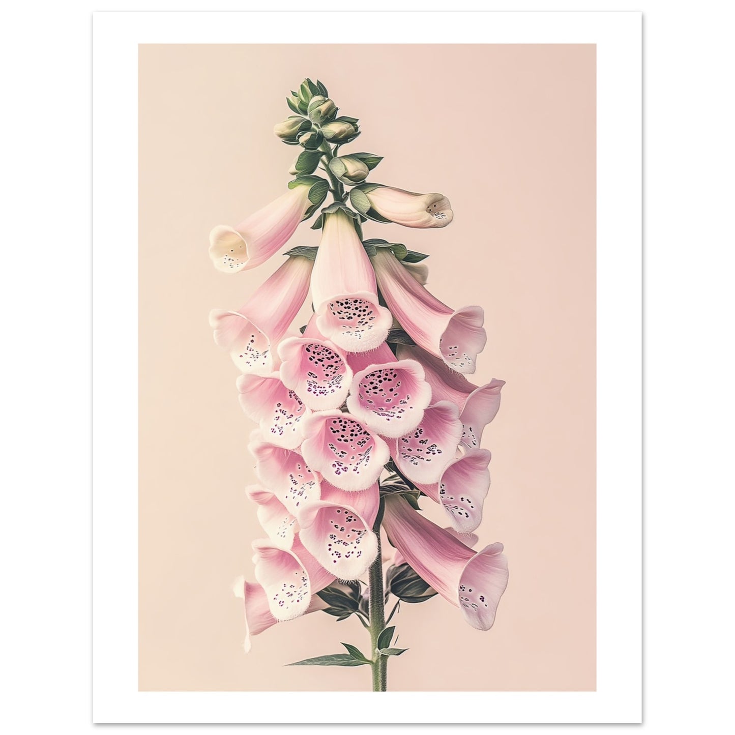 469316d3-fcdc-4873-a50c-666175970ece