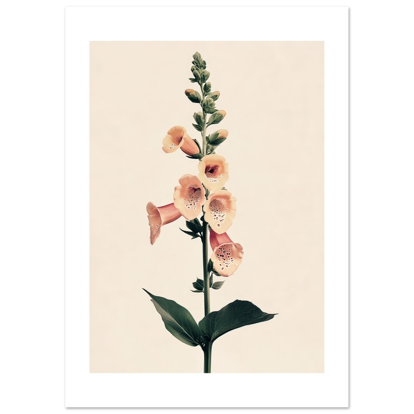 4d9c3fee-583d-49b3-bc1e-9064ed05b6a6