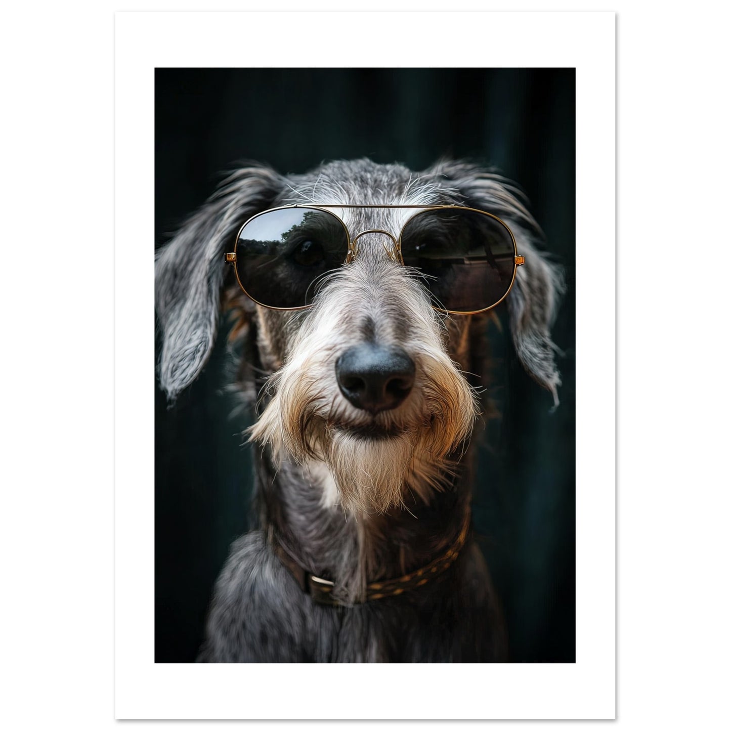 50513c70-a6e4-4775-9679-48f87732ccf6