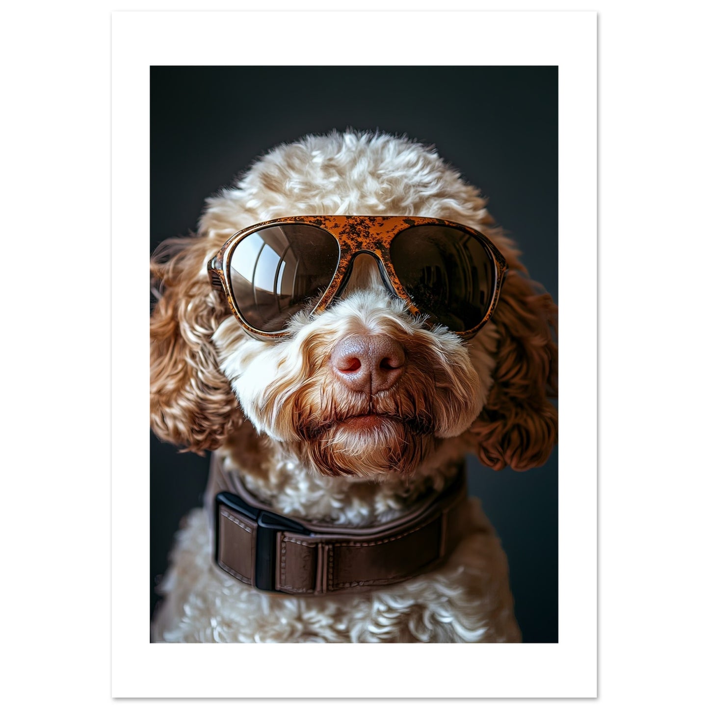 505ada58-3a94-4528-aa77-60f33a27595b