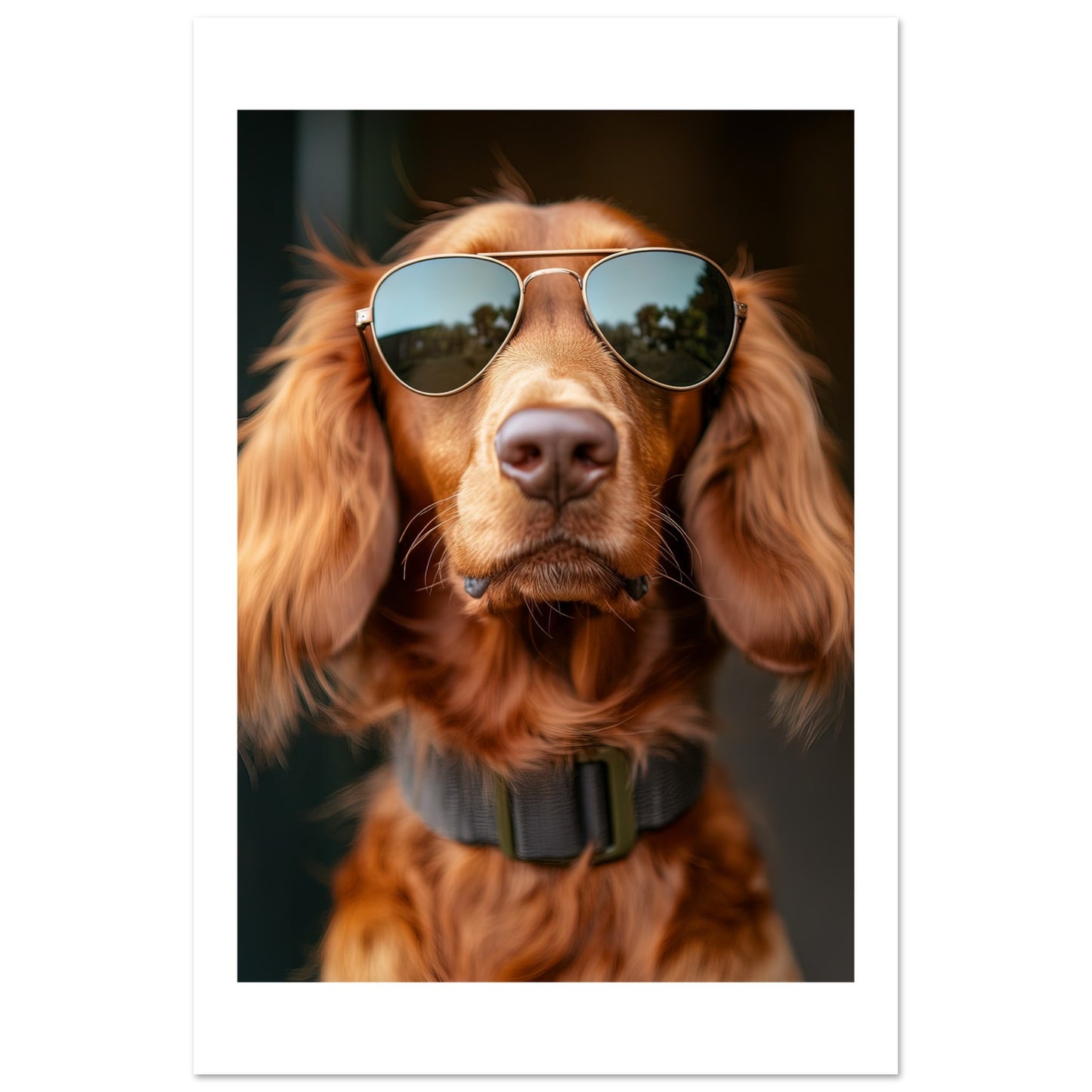 565aed2a-187b-4ad9-b402-fe62eb891985