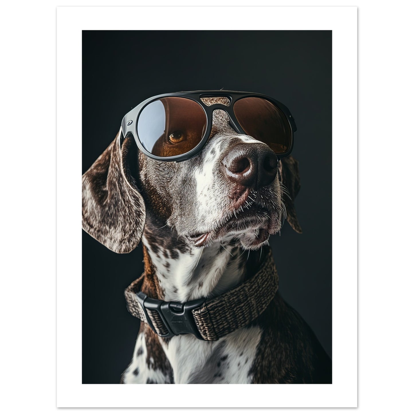 56dc114c-080c-45a0-ab64-06aba339b37b