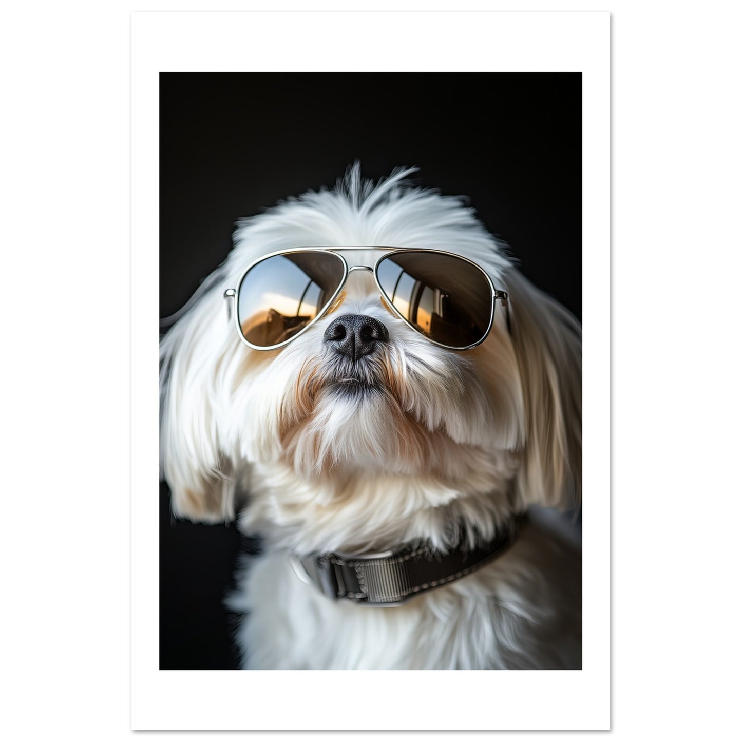 587a428c-1bfa-4f0d-bcc6-dbe6448476a9