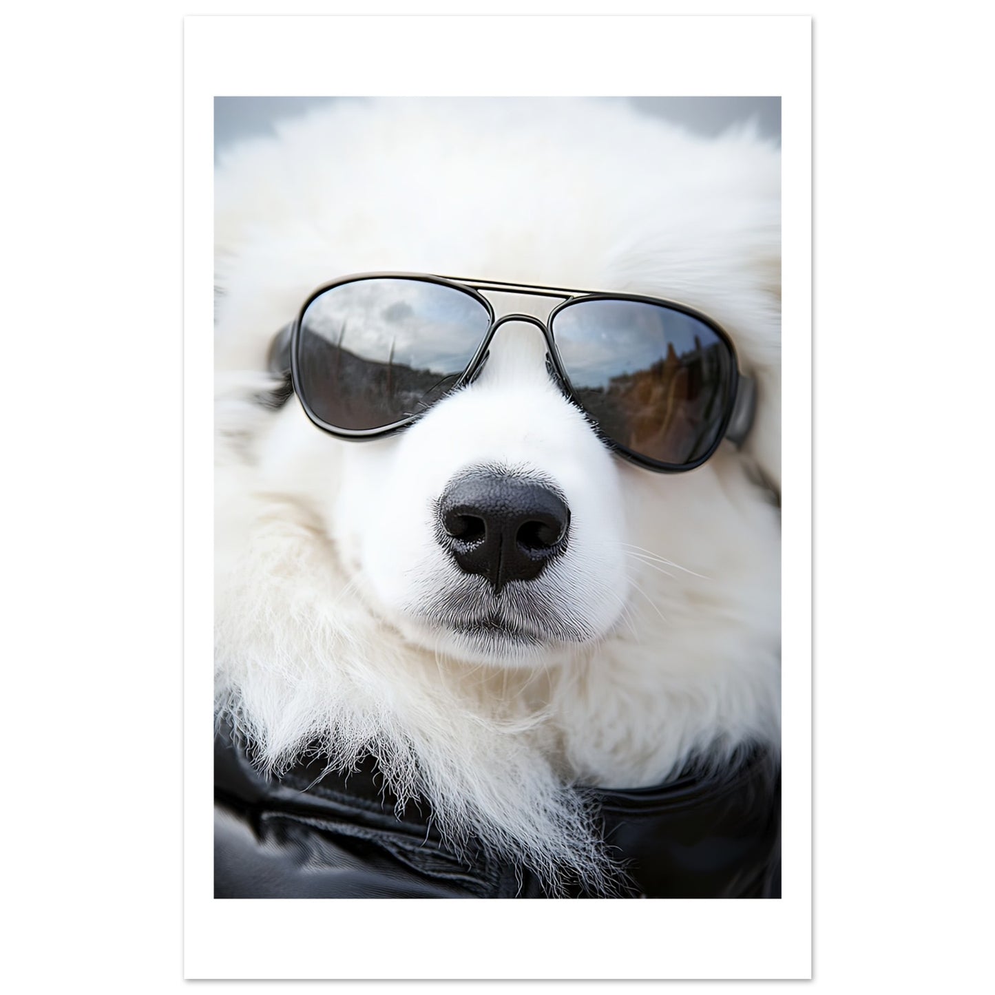 5e1ba49c-8470-40bf-a17d-ca5714caa7d4