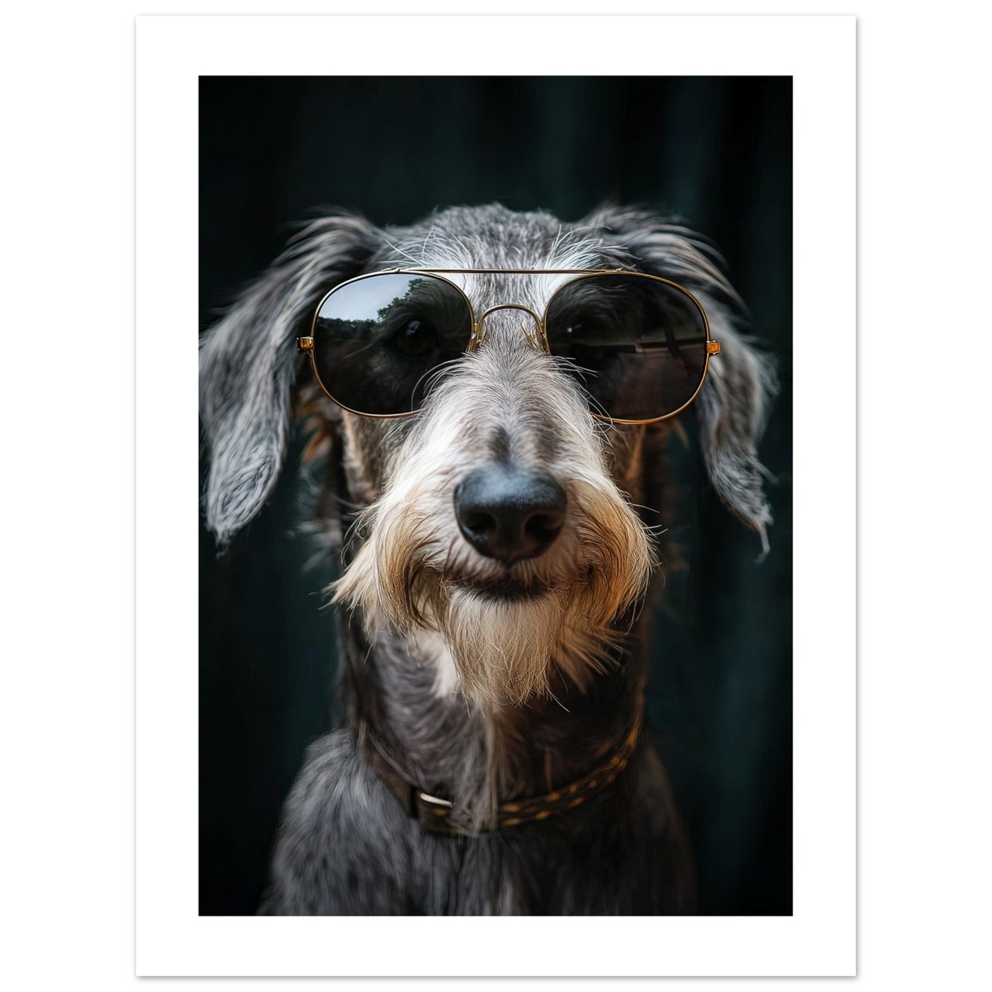 5e22470c-71e8-4c4f-83d8-f4f751aad20c