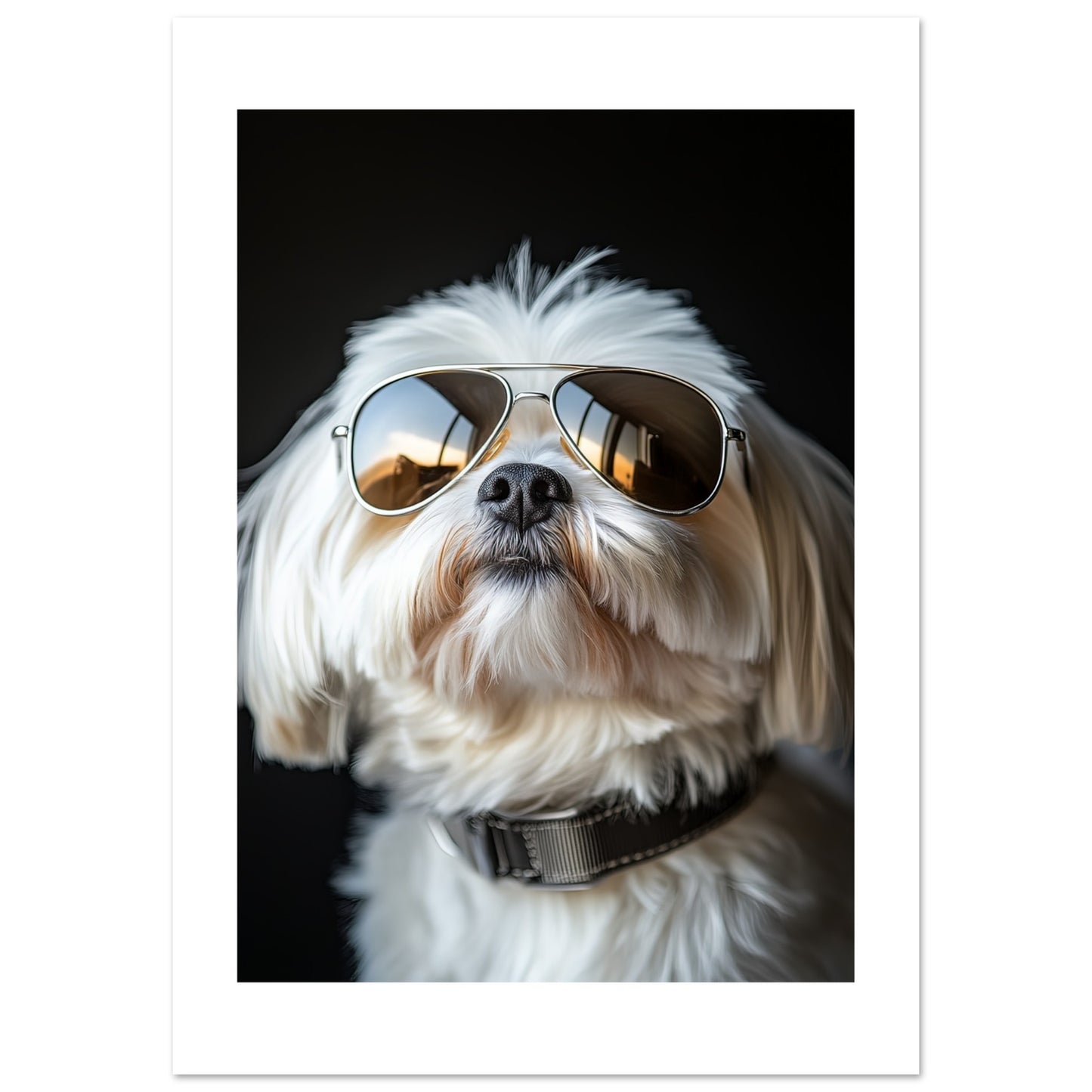 5e6664b0-8fc0-461b-9ec6-e6f12a159593