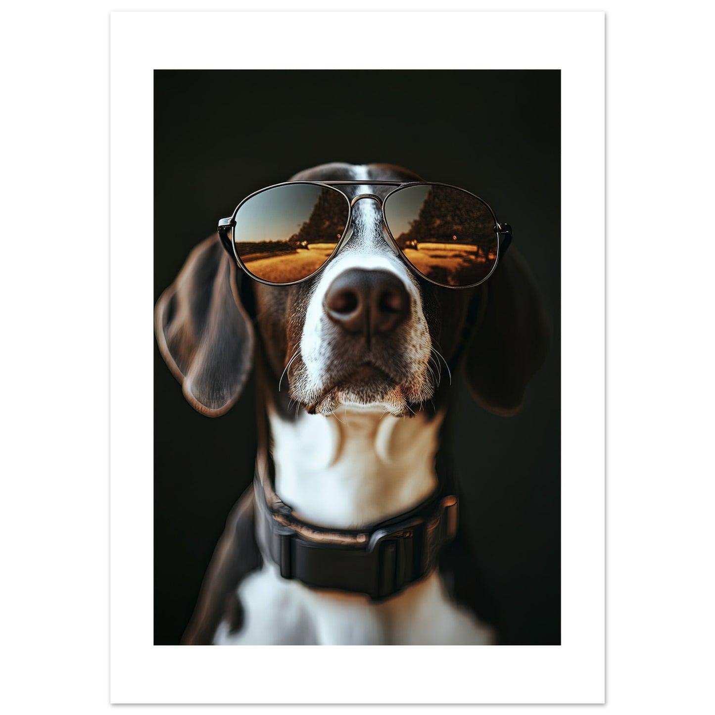 5e8b153a-dda1-4cef-b2d8-207bd4053084