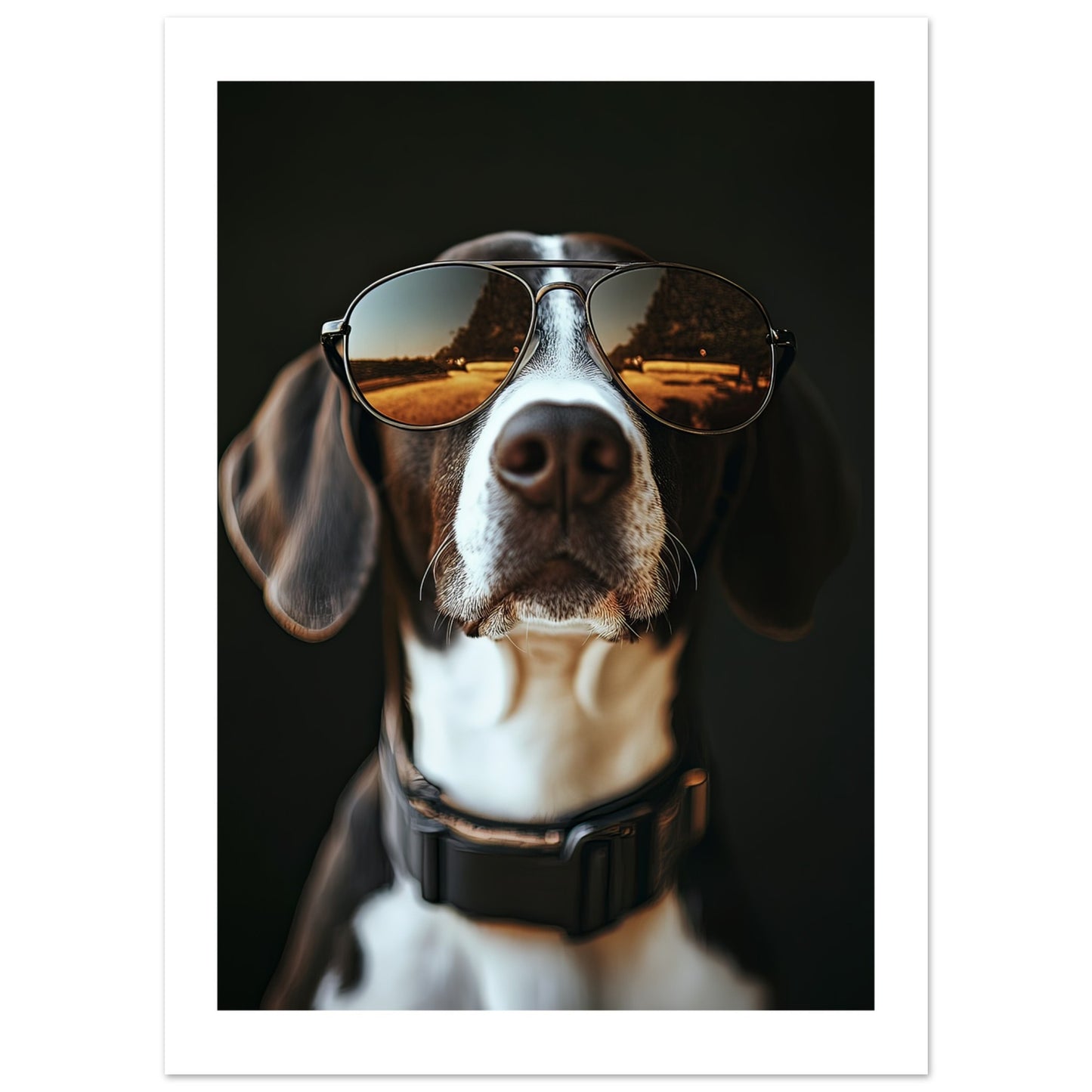 607f73bb-050c-4864-978b-e2f4876b0fbc