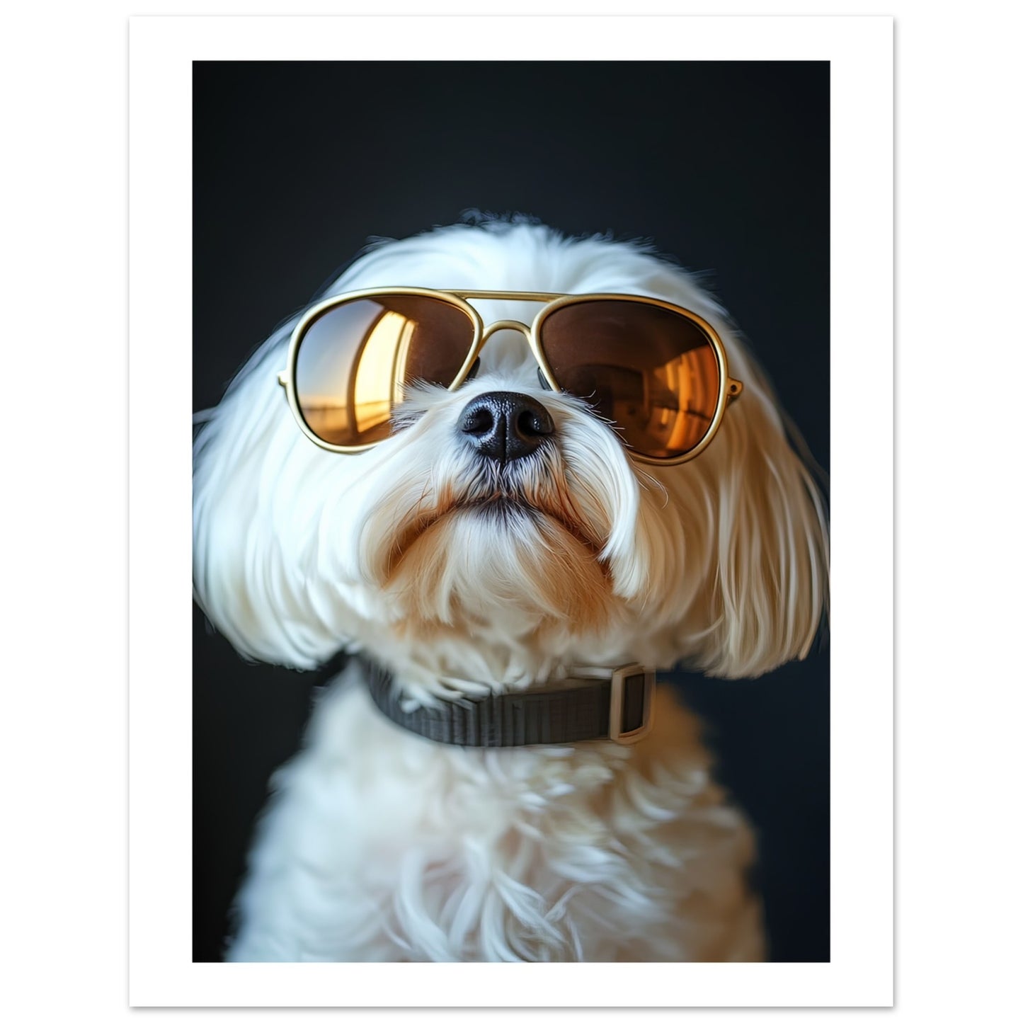 628a74cb-5d31-4e3a-9216-a1e5be92a7b9