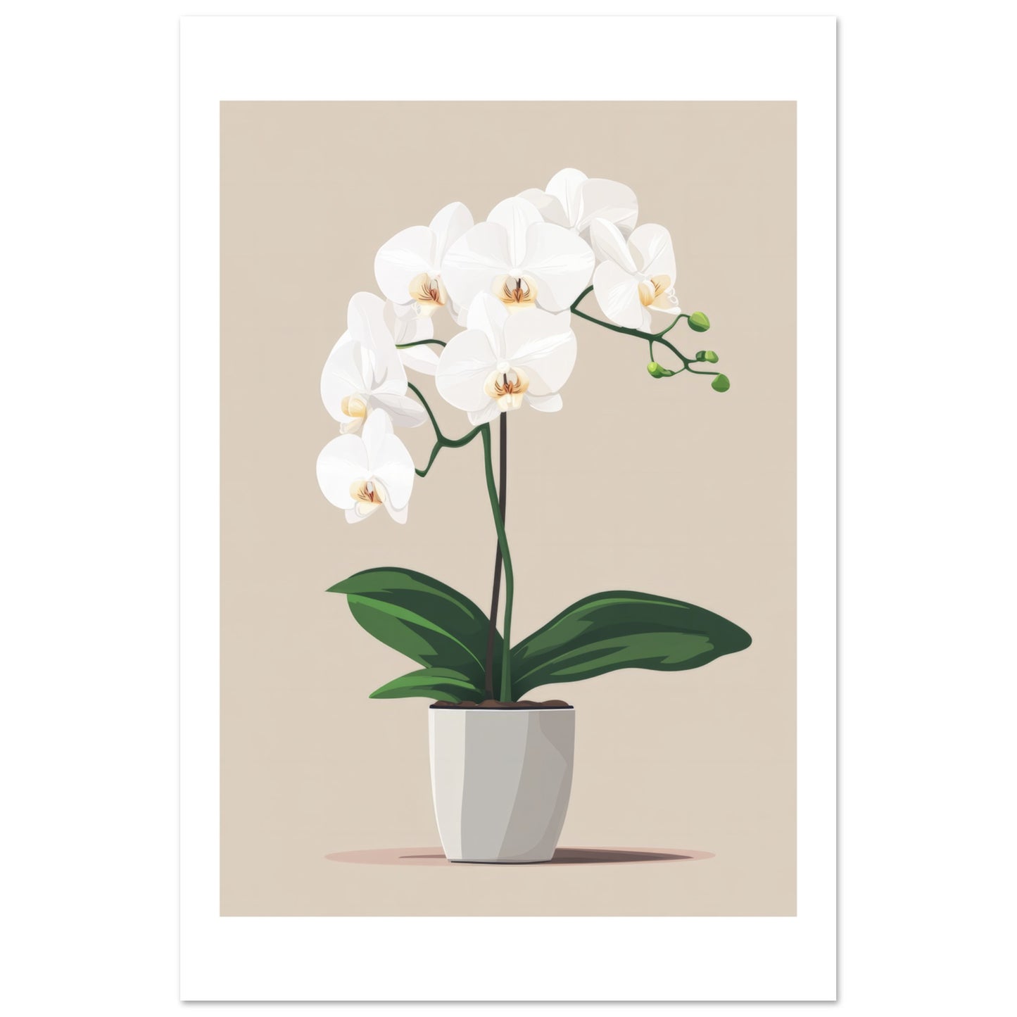 62ecaa68-866b-42a9-a3a5-d3635bd1e00d