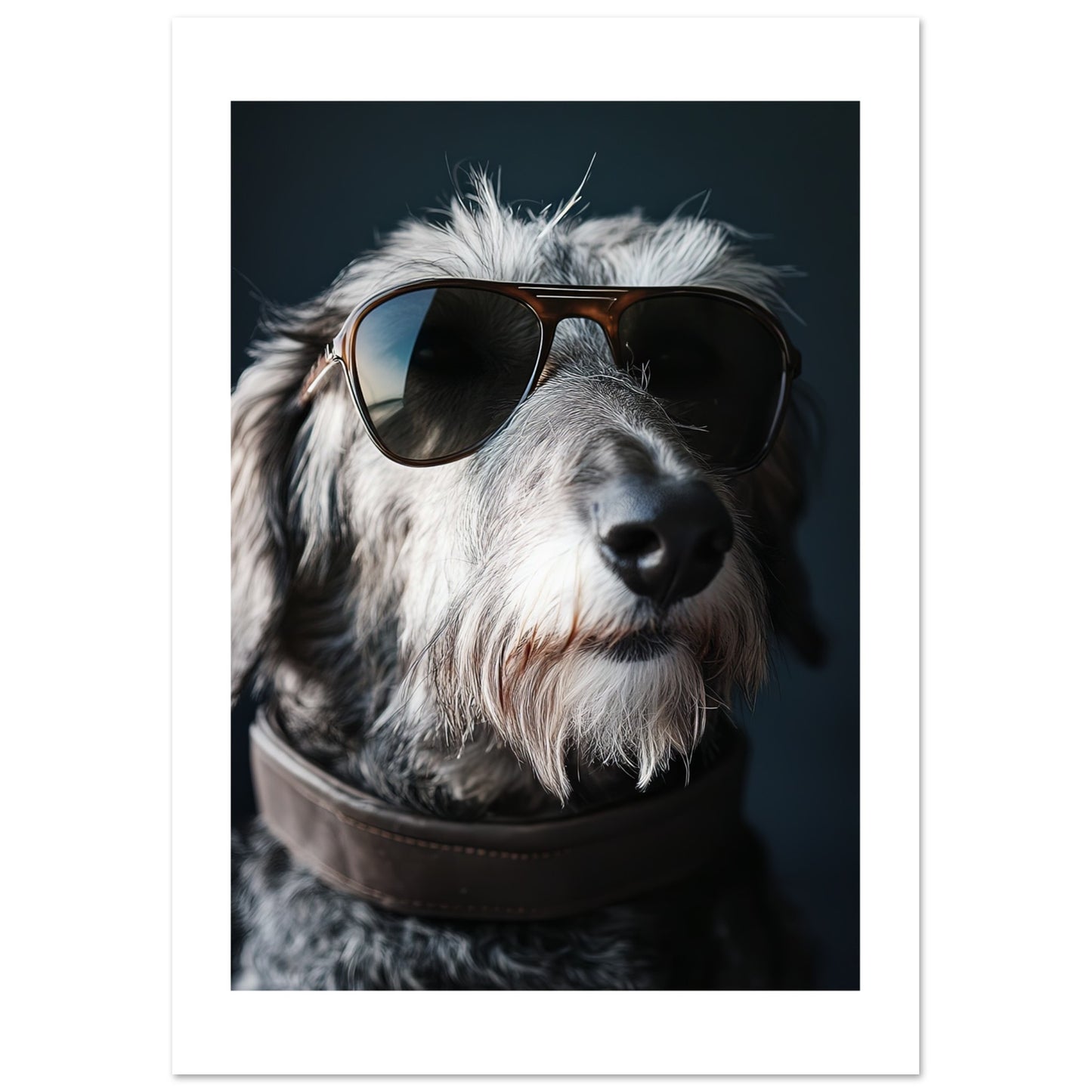 6523d2fb-0eb5-452f-880d-1054f5b50807