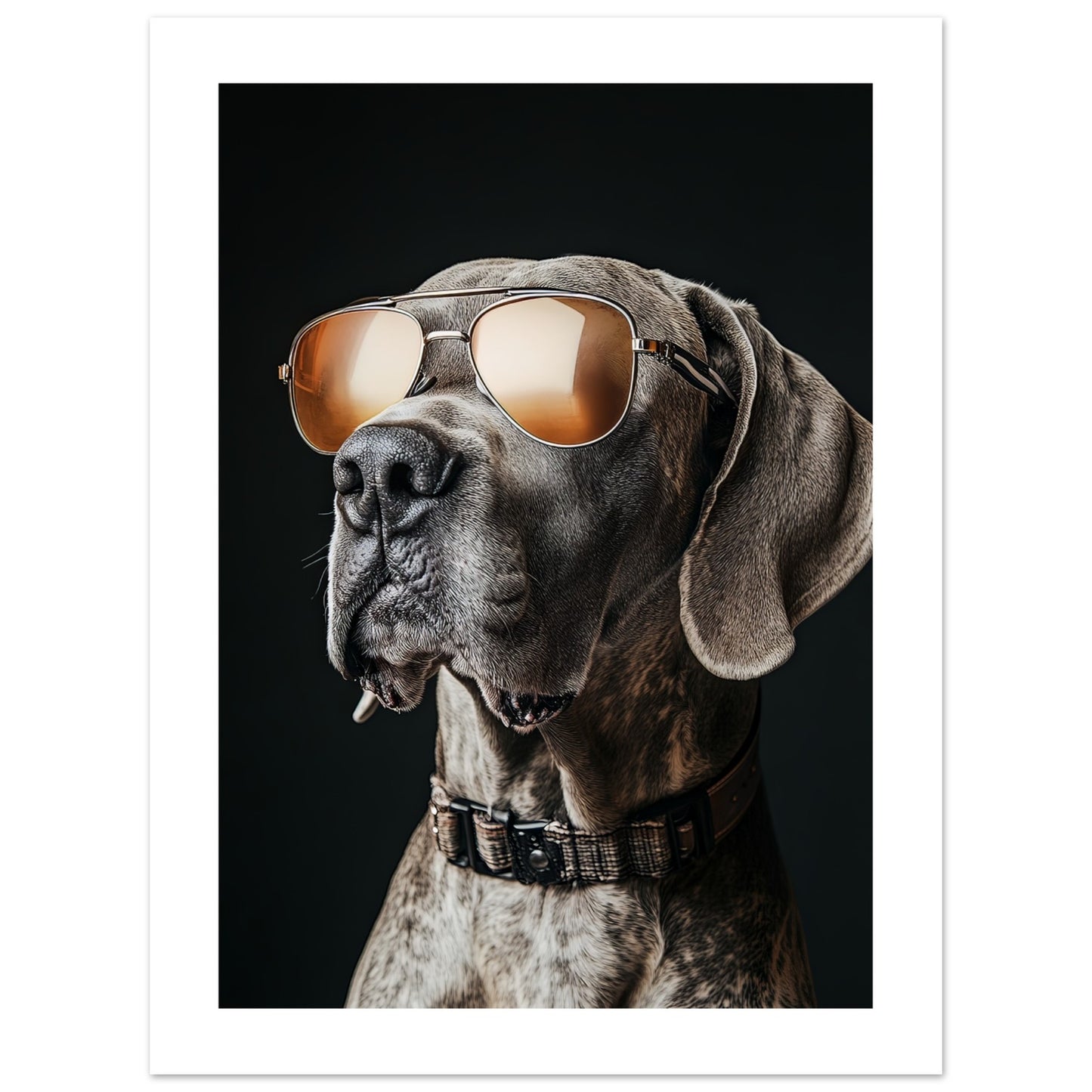 668848ba-6934-45c2-b436-7f0145f35d16