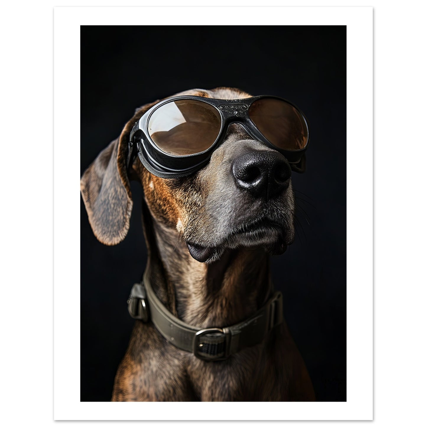 69ecf707-2e2f-4d74-a1ae-aa21d7edb62a