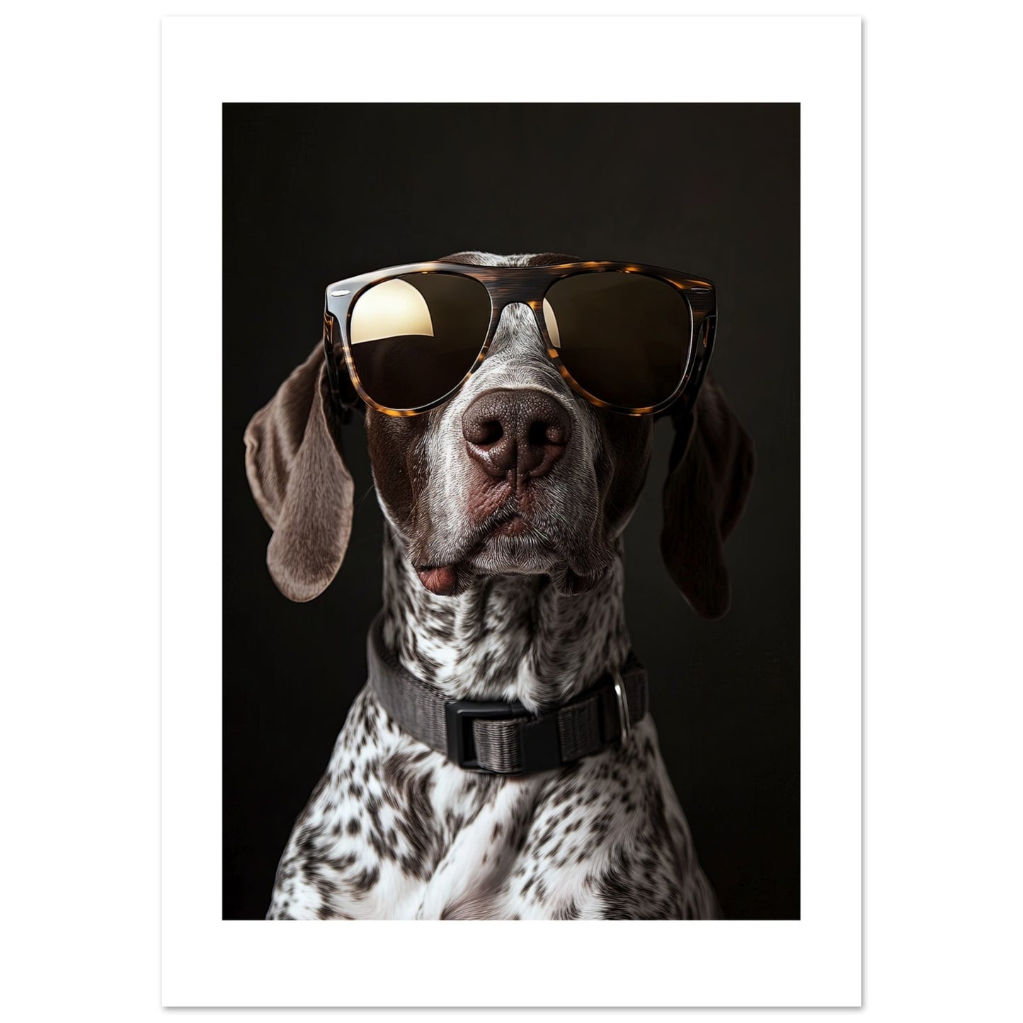 6e2f02a4-c1b6-4f1b-bb7d-111943563da1