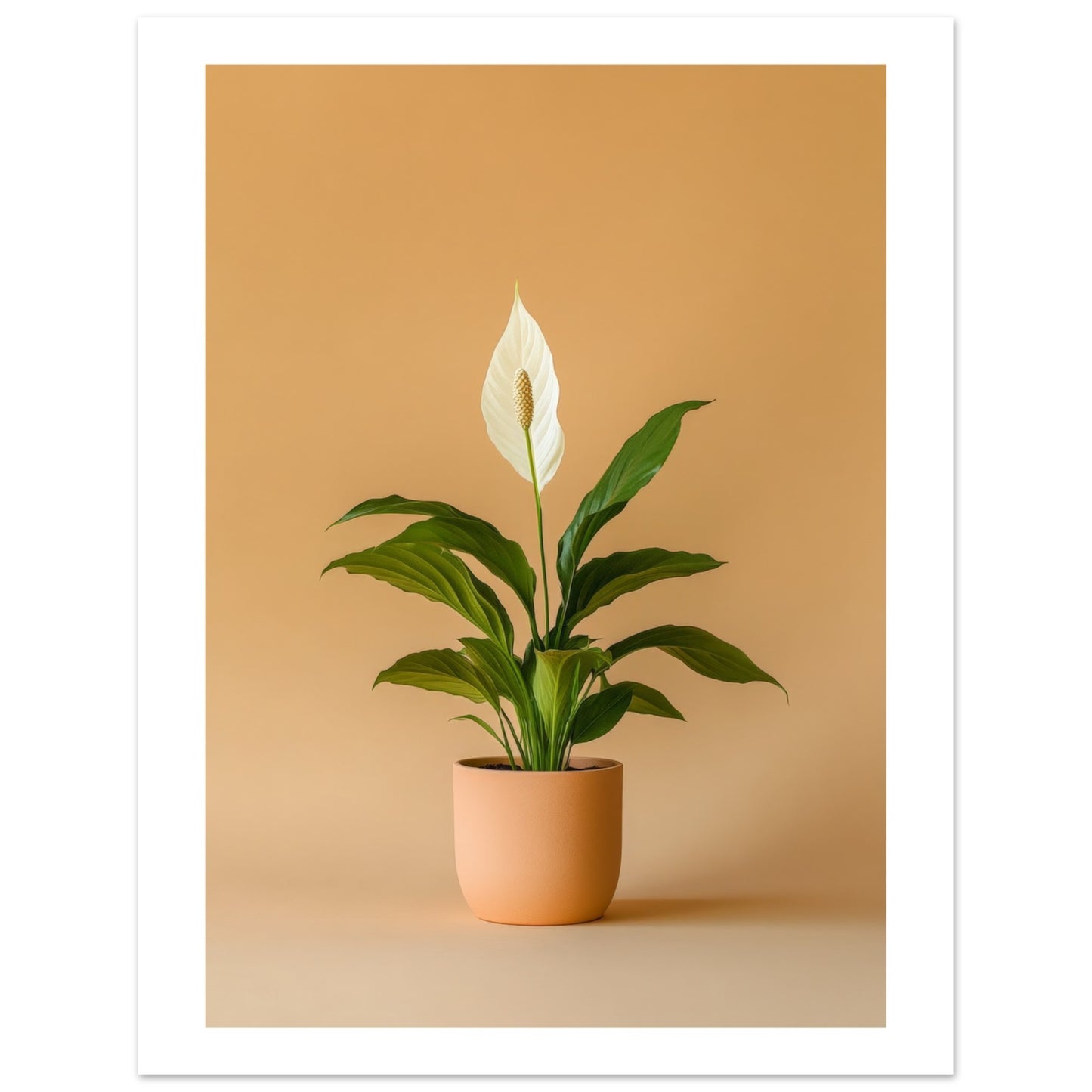 6fe2c7bb-1ca0-4074-803e-aa09af19025f