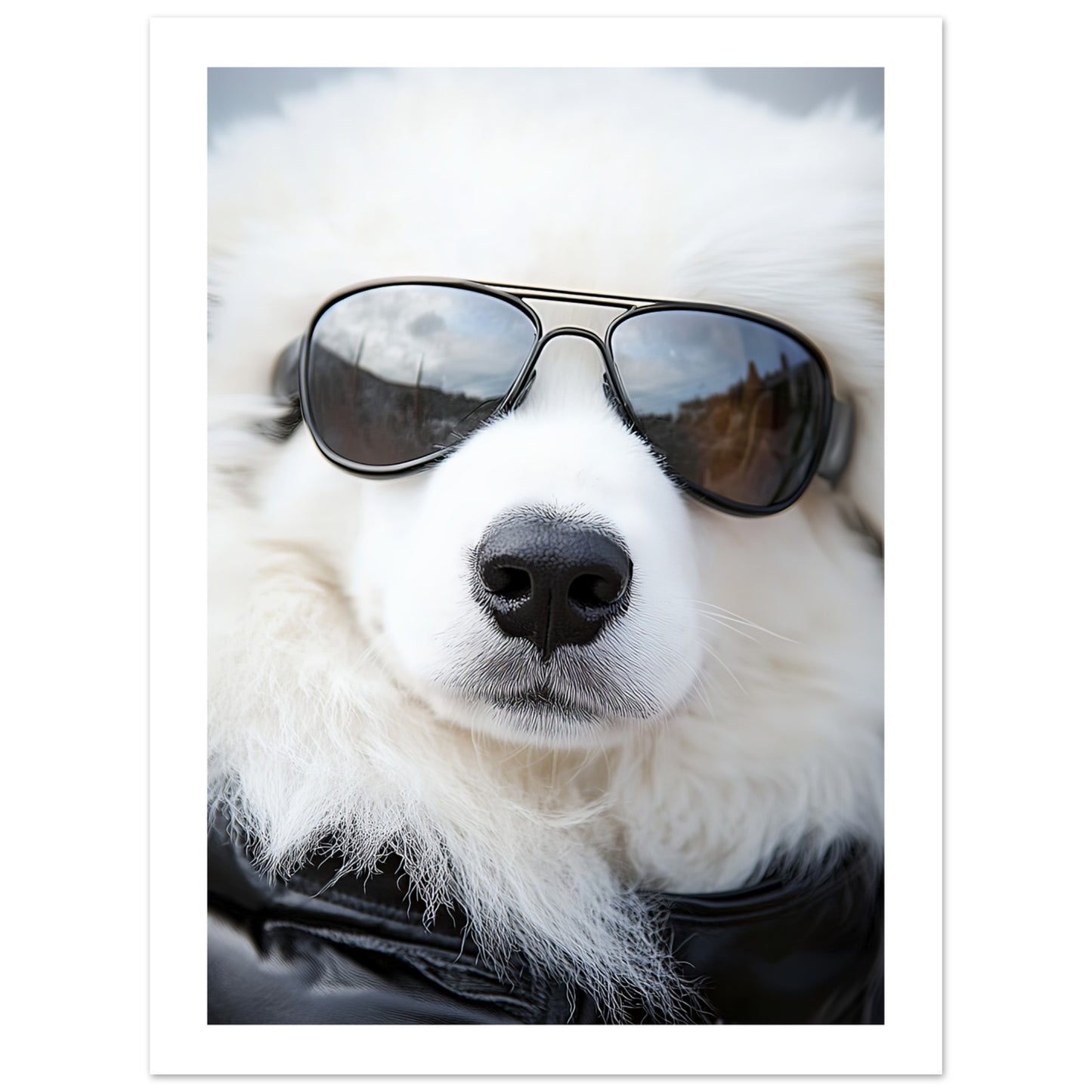 70a33487-938c-4d28-b68c-29e298368a0e