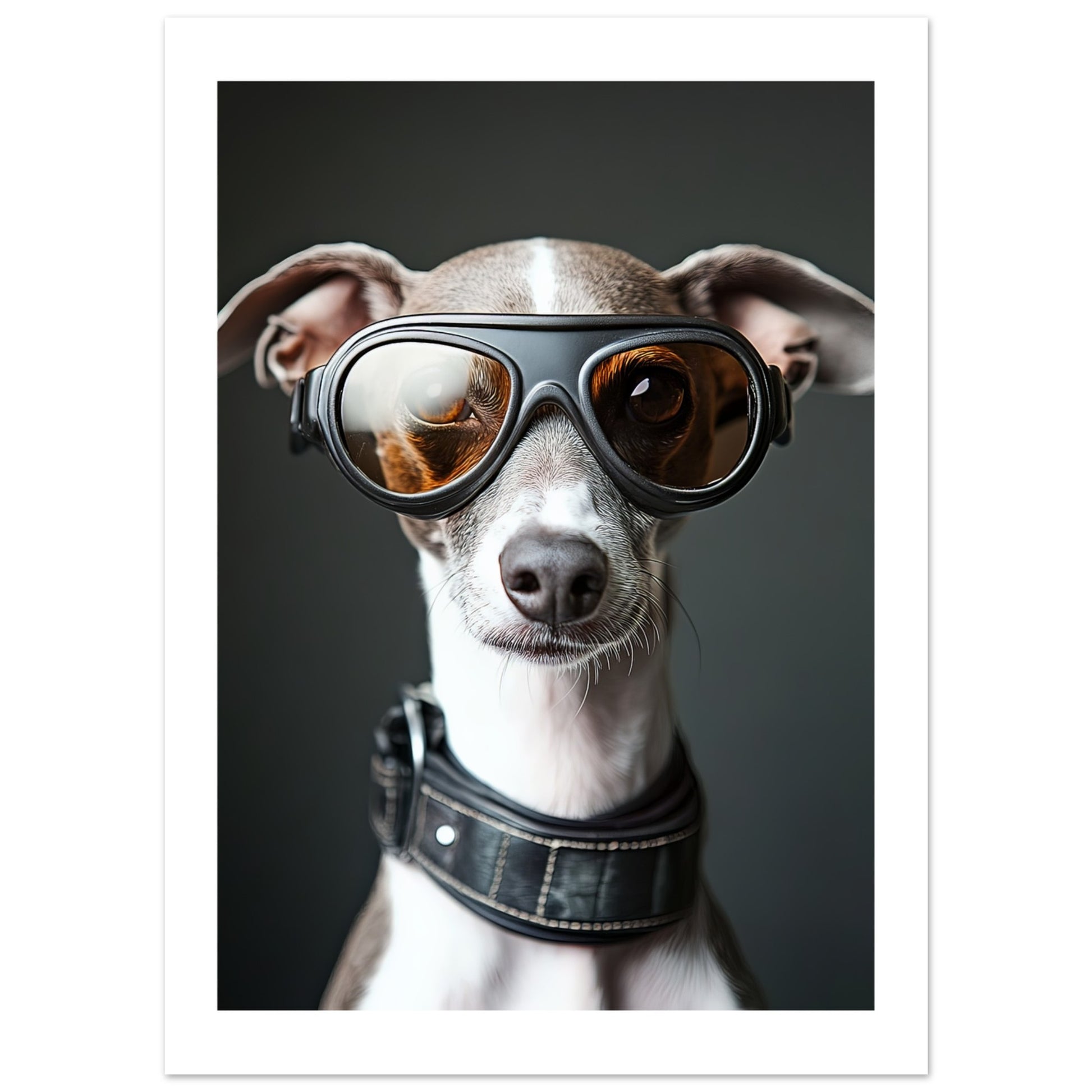 71d39fc2-db1c-4265-826f-2f66fd1718cb