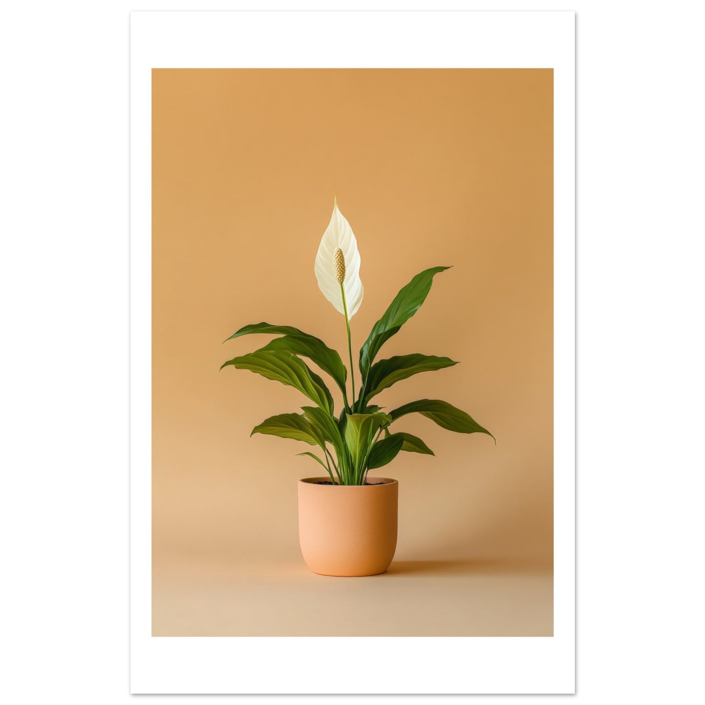 75e86619-748e-4073-8849-0d5a509dab67