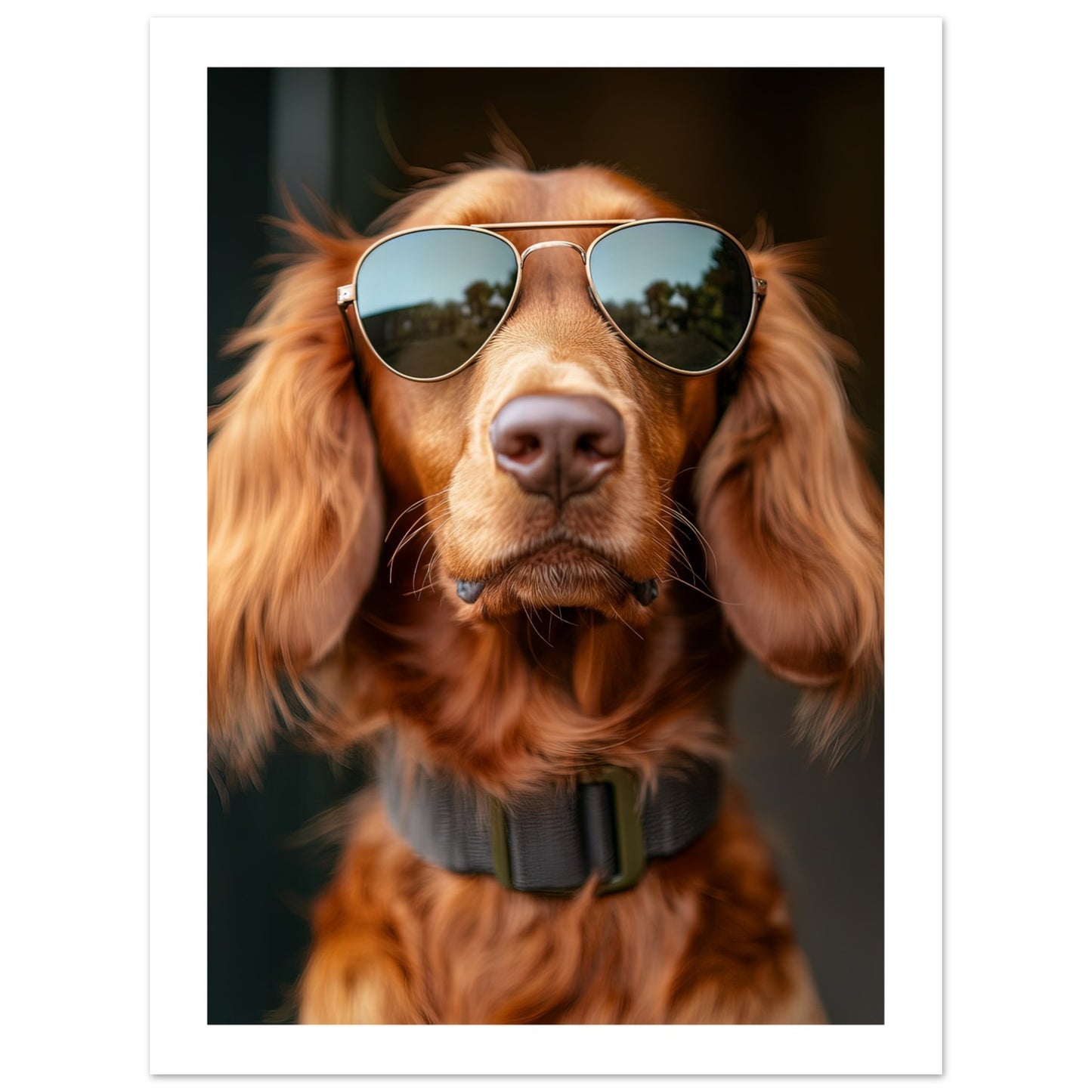 776f5a7f-f613-479b-8b50-c04cd6f82da3