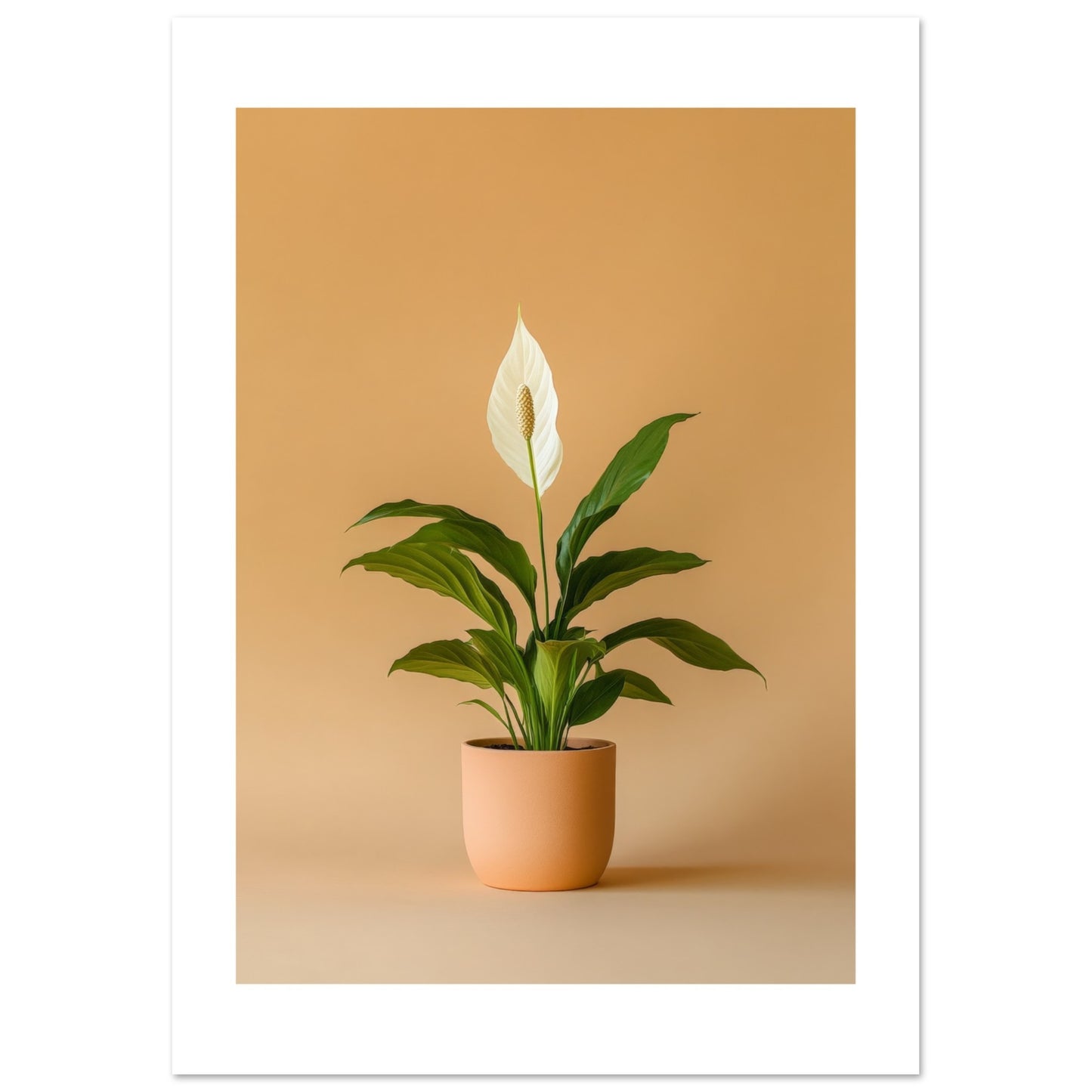 7bd4449f-fe66-4f22-8ca3-2e289bfc6ade