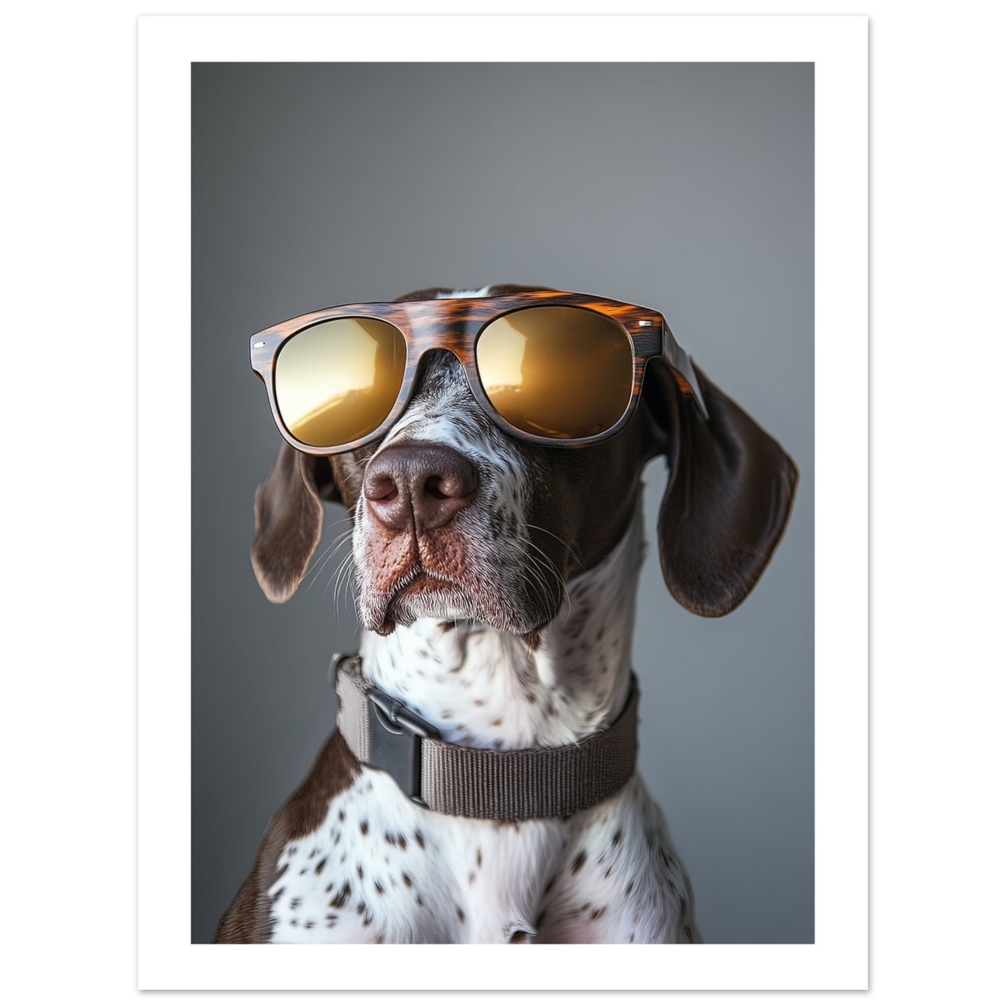 809e64d1-8991-46b5-affe-fa6381f3b8e3