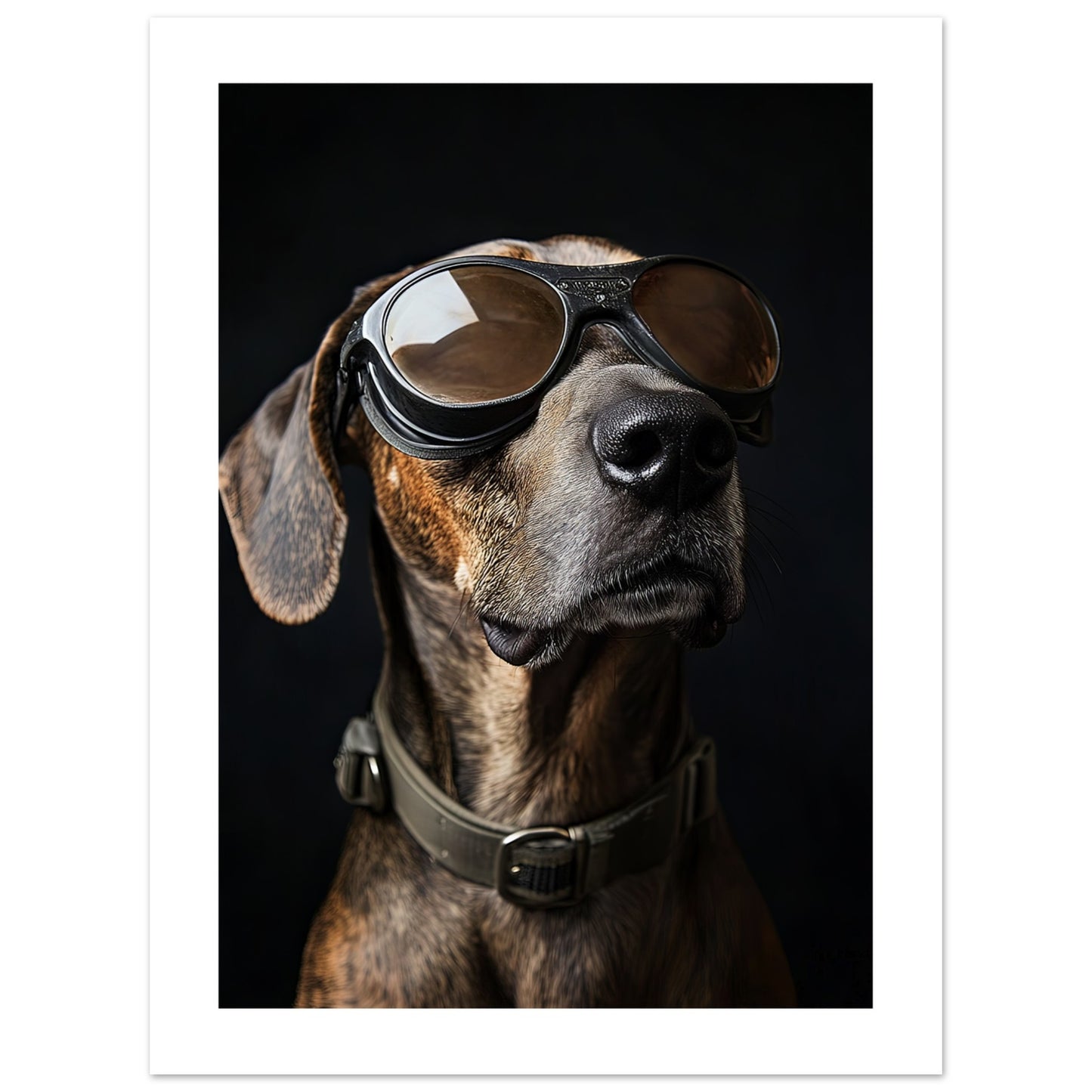 82426ef1-285a-4eea-a10c-dd3a0259efac