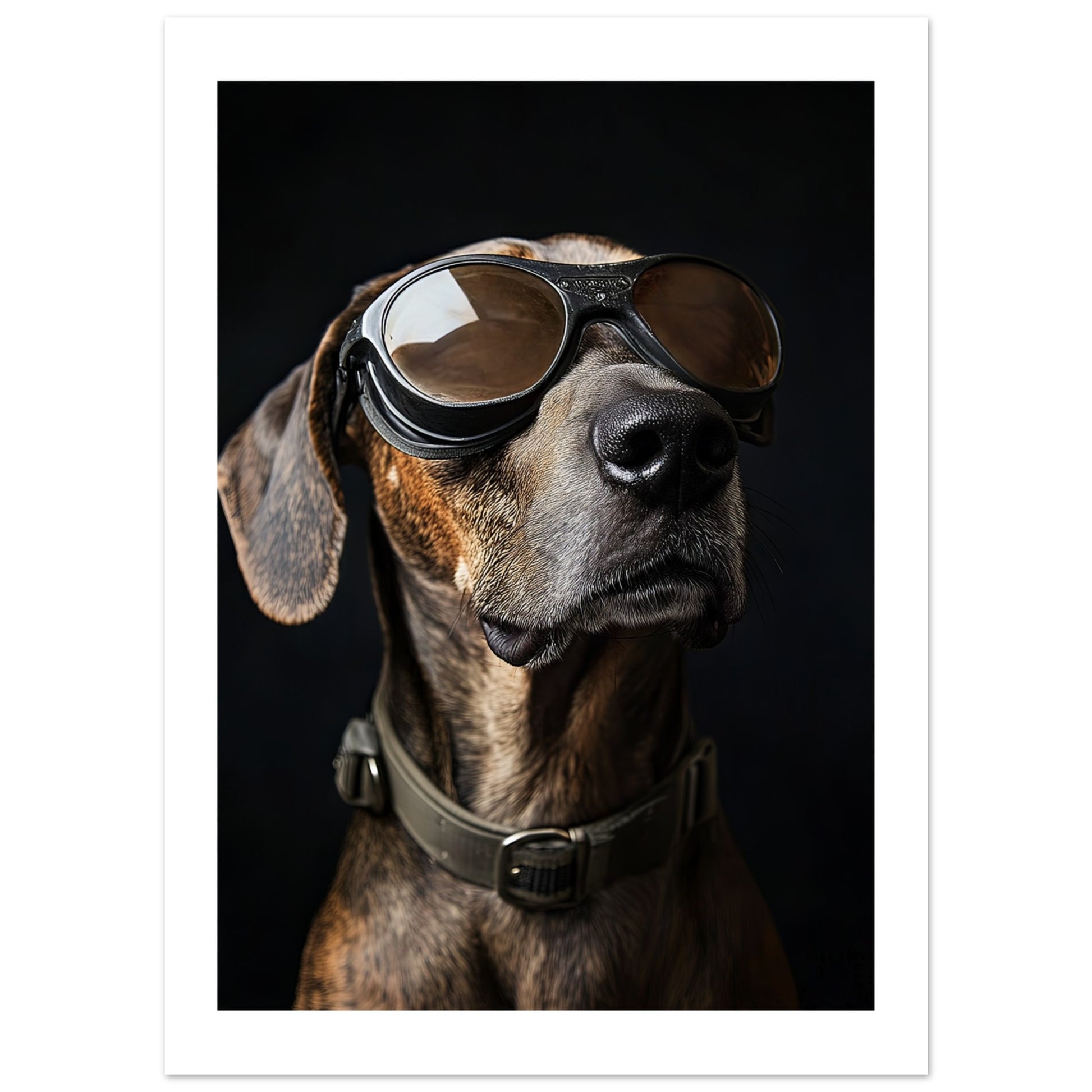 82d1dcfb-09e3-42b7-b3f0-29a2af5145a9