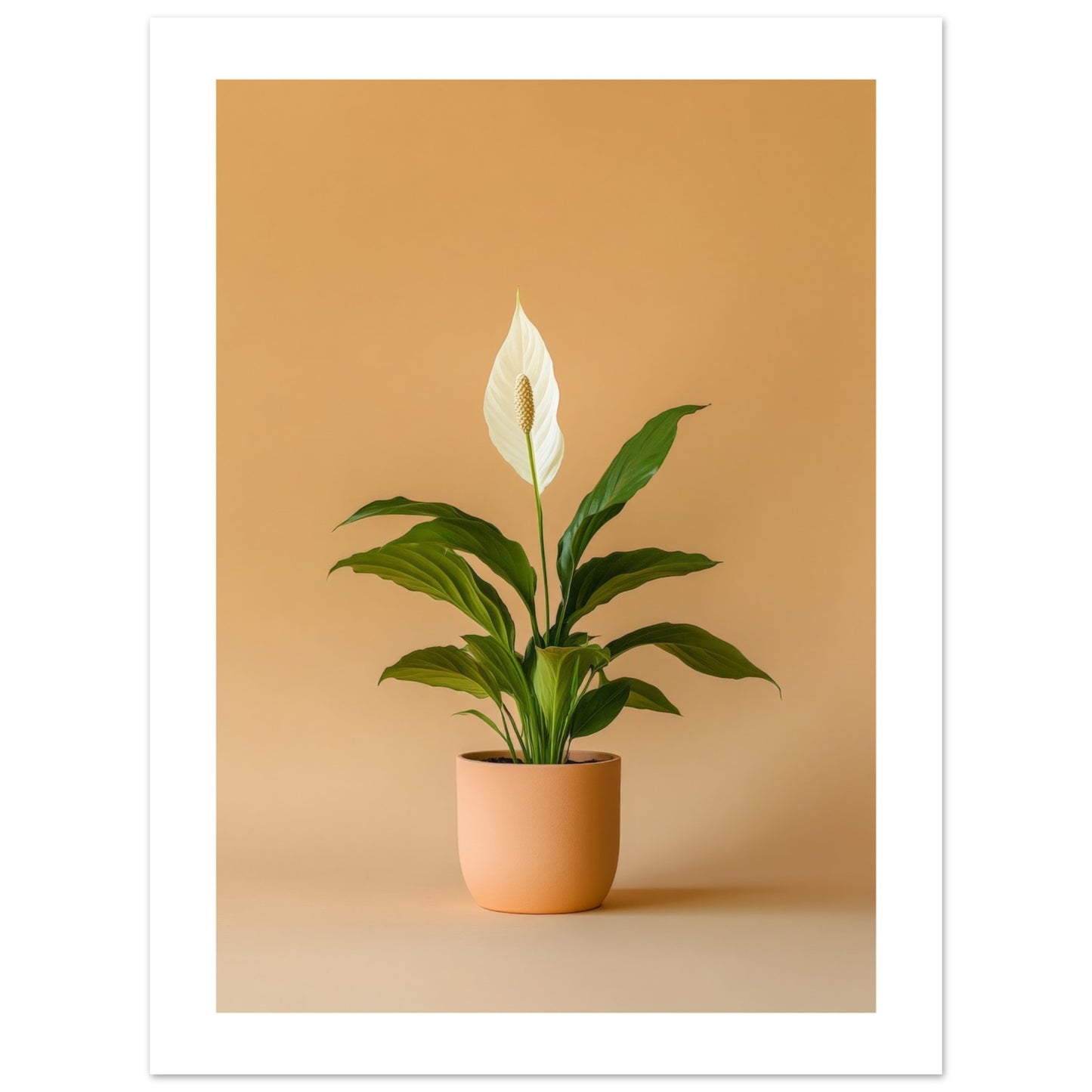 838bebc5-b046-462b-92dd-96dd23928133