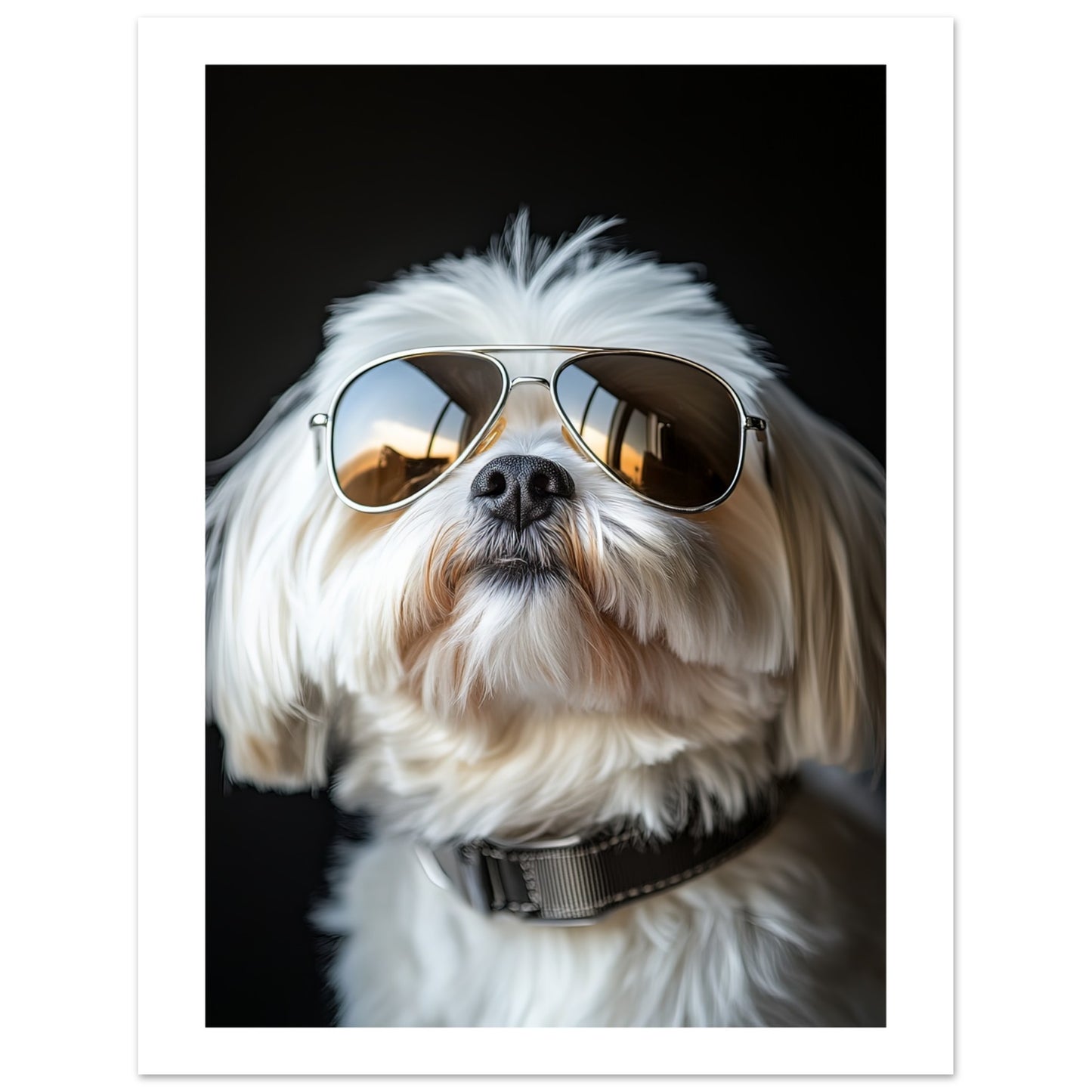 86b71937-8026-4c91-9df9-8eb4d4561c7d