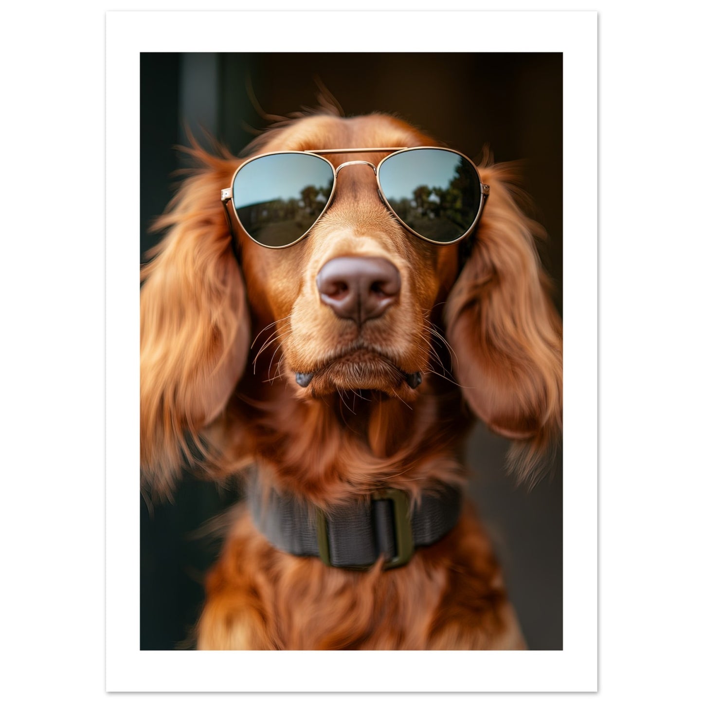 8790542c-5de2-4a30-b078-1c2010f6033b