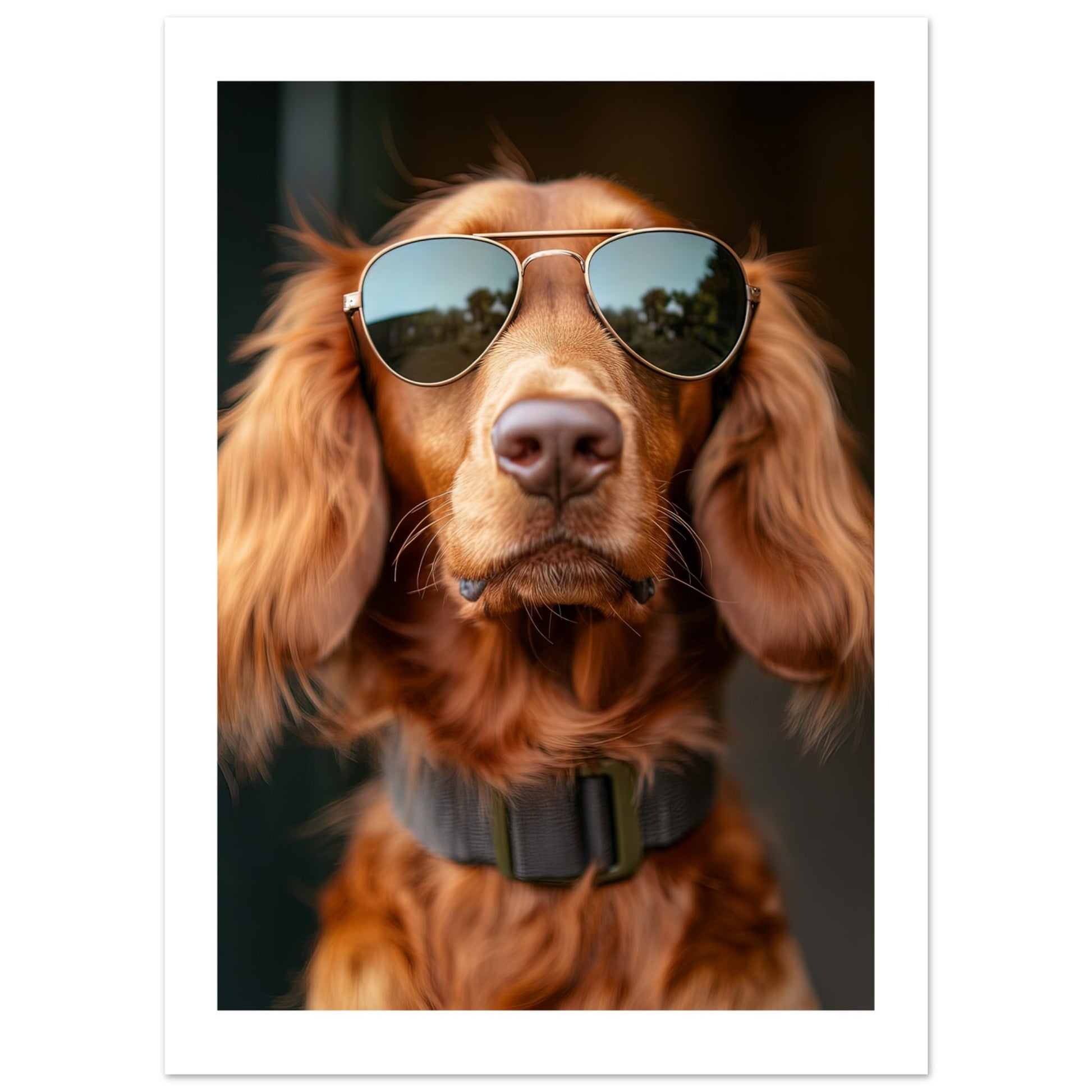 8790542c-5de2-4a30-b078-1c2010f6033b